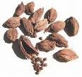Black Cardamom (Elcha) 3.5oz