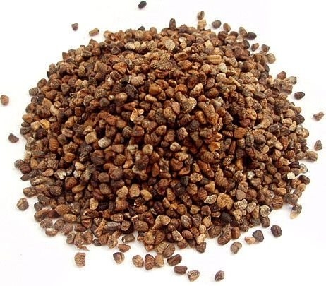 Cardamom Seeds - 7oz