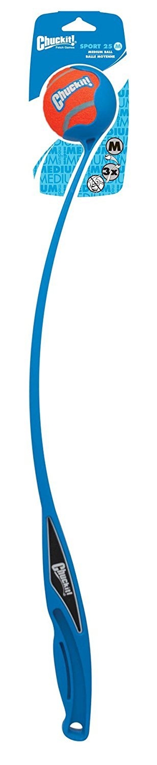 Main Image 1