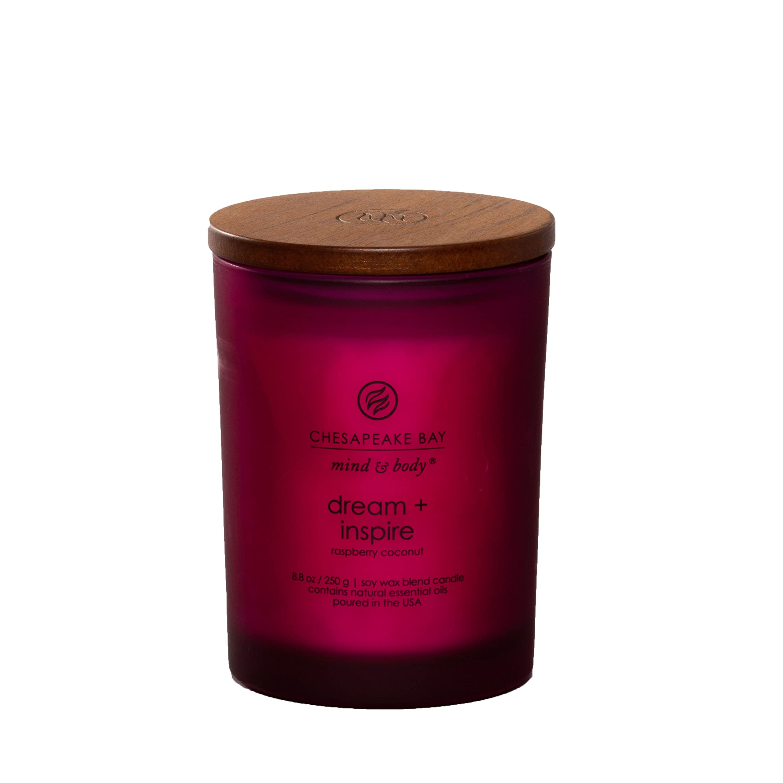 Chesapeake Bay Candle PT41689 Candle Medium Jar Dream & Inspire Home Décor