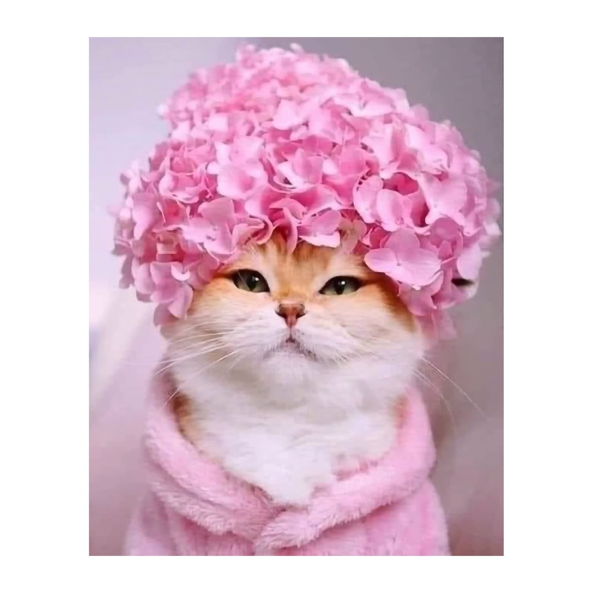 "Flower Hat Kitty" Animal Wall Art Print - 8x10" Cute Cat Photo Print Ideal for Home, Bedroom, Office, Nursery & Kids Room Decor, Great Gift for Cat Lovers! Unframed