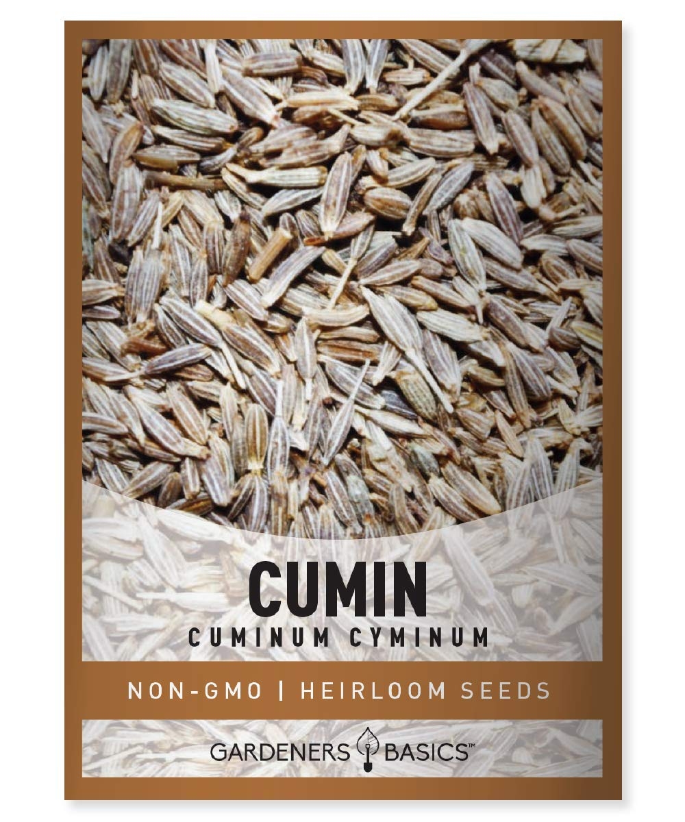 Gardeners Basics, Cumin Seeds for Planting is A Heirloom, Non-GMO Herb Variety- Cuminum Cyminum Herb Seeds Great for Indoor and Outdoor Gardening