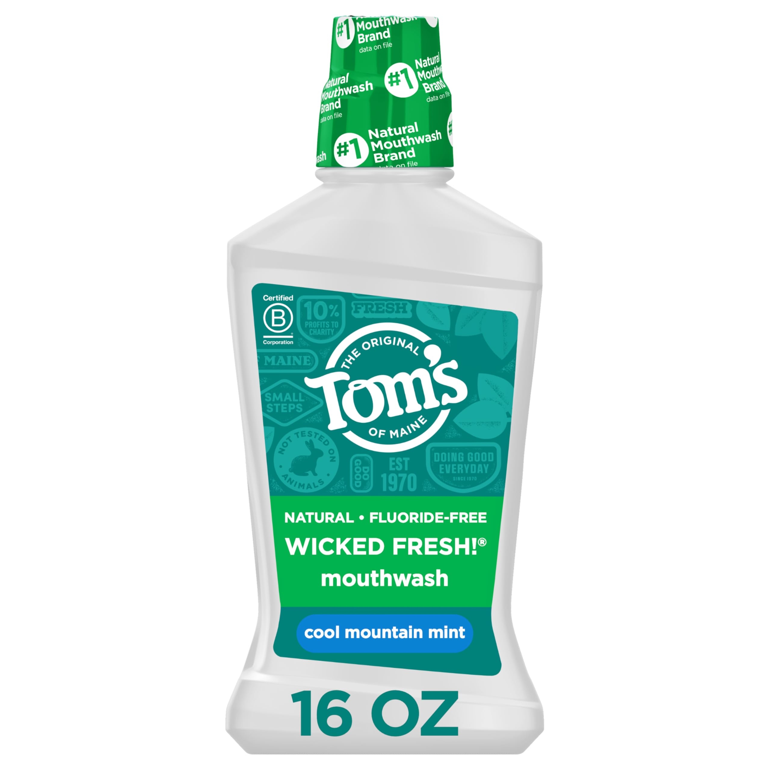 Tom's of Maine Natural Wicked Fresh Alcohol-Free Mouthwash, Cool Mountain Mint, 16 oz. 6-Pack (Packaging May Vary)