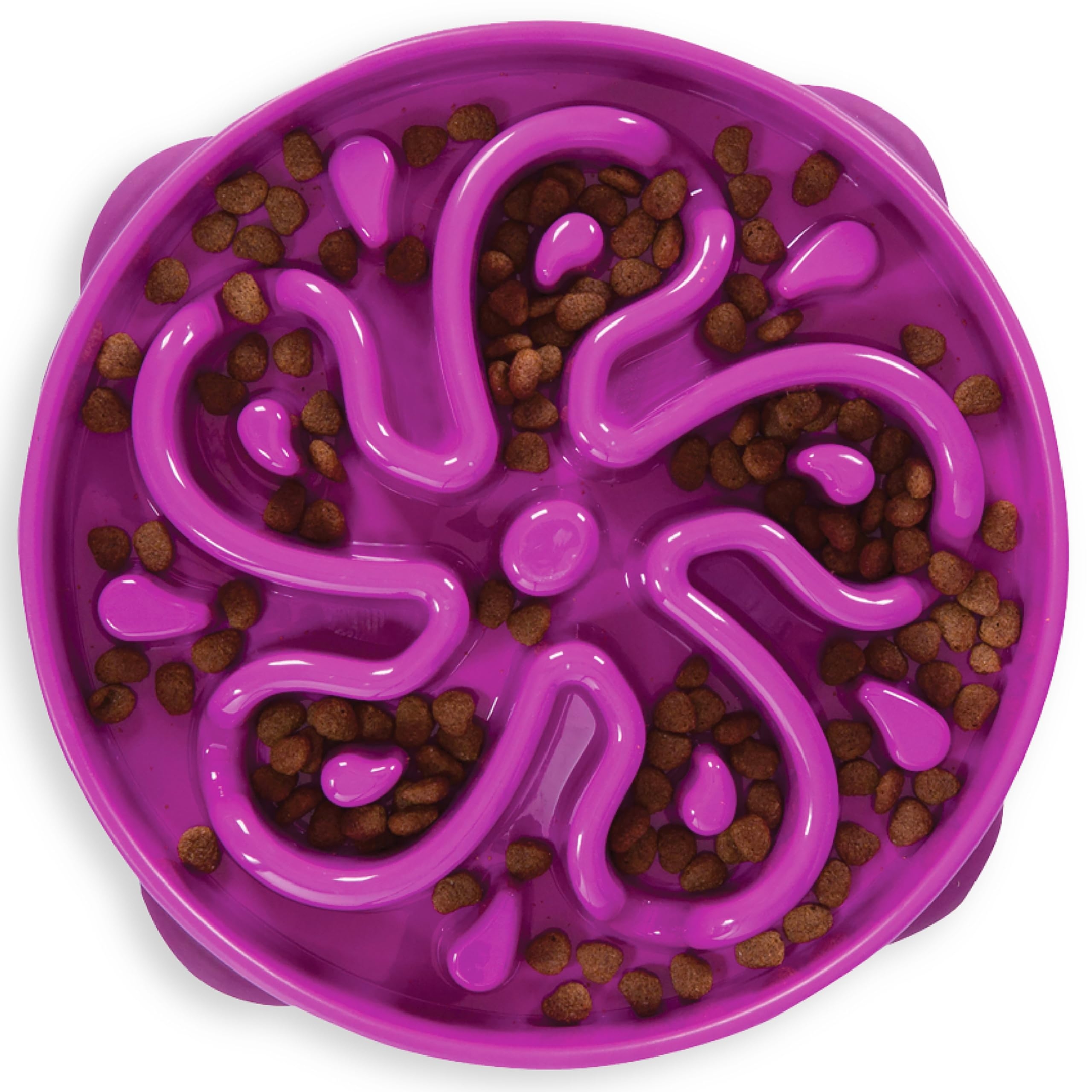 Main Image 1