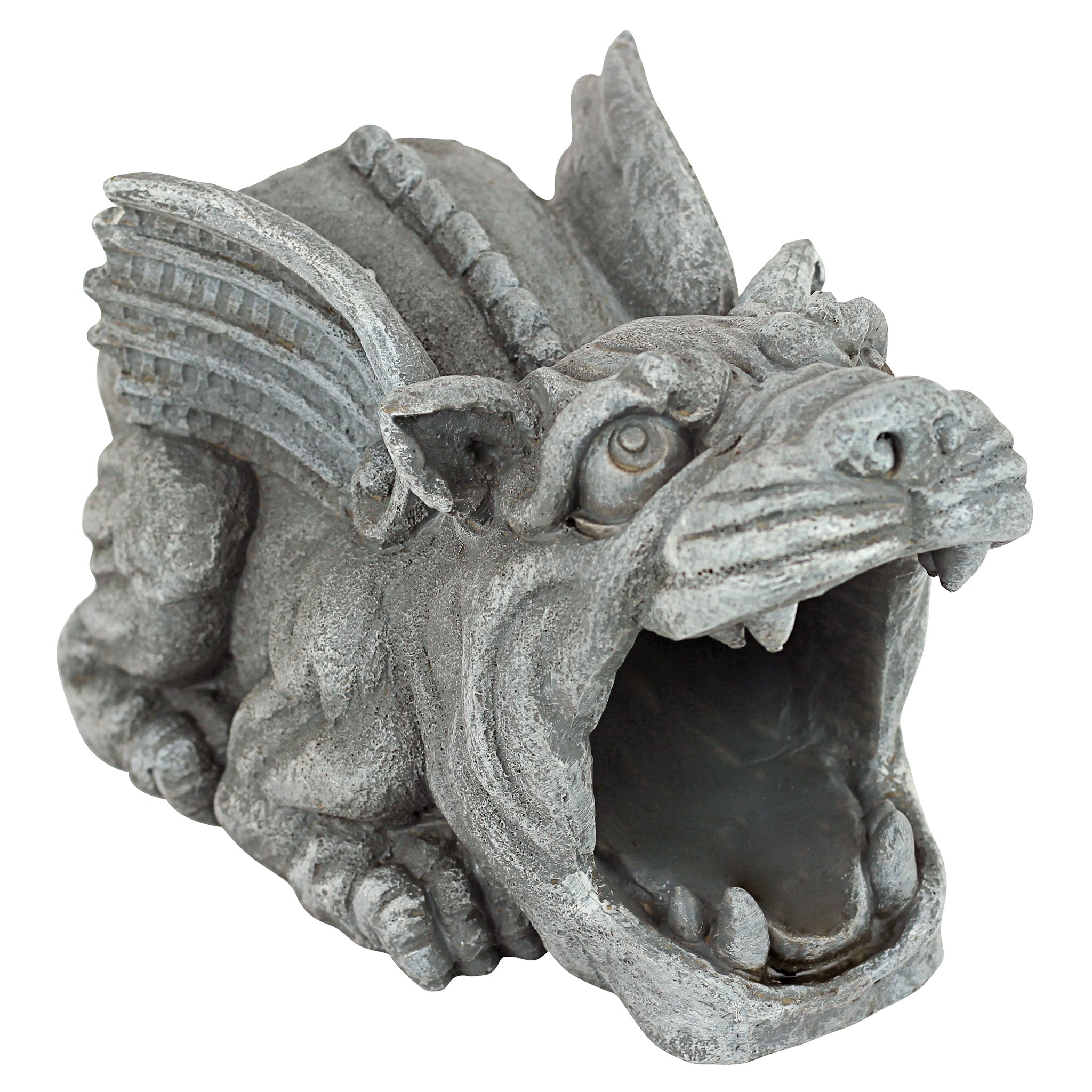 Main Image 1