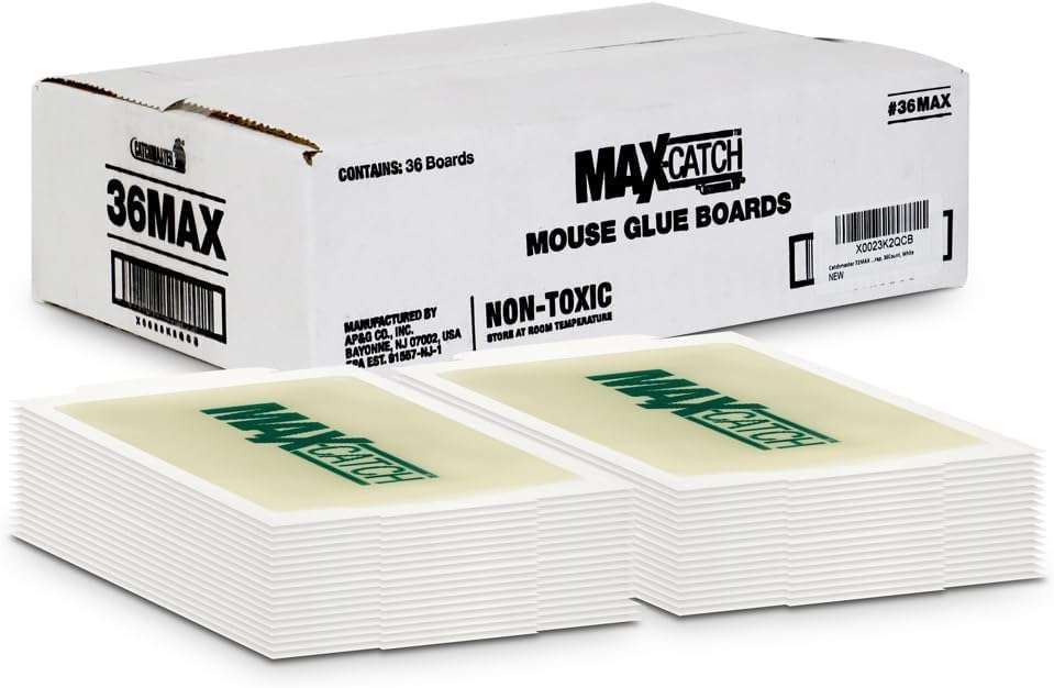 Catchmaster Max-Catch Mouse & Insect Glue Trap 36pk, Mouse Traps Indoor for Home, Sticky Pest Control Adhesive Tray for Catching Bugs, Non Toxic Bulk Pre-Baited Glue Boards - Image 8