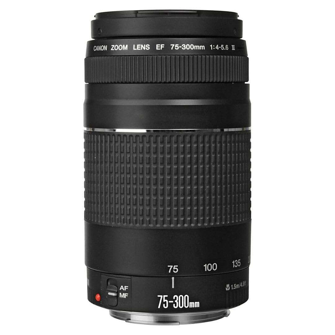 Canon EF 75-300mm f/4-5.6 III Telephoto Zoom Lens for Canon SLR Cameras, 6473A003 (Renewed) - Image 2