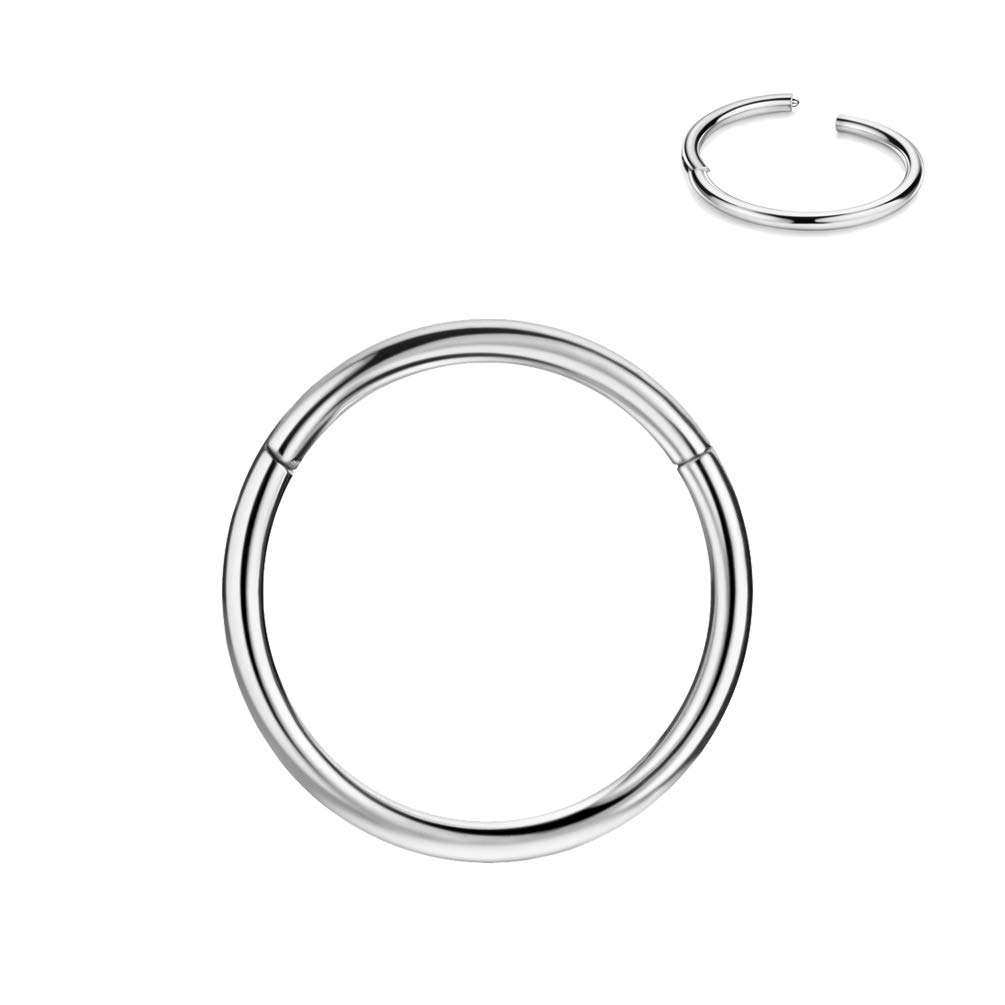FANSING Men Women 316L Surgical Steel Hinged Nose Rings Hoop for Nostril Septum Cartilage Helix Daith Tragus Rook Conch Lip Ear Lobe Piercings - Image 1