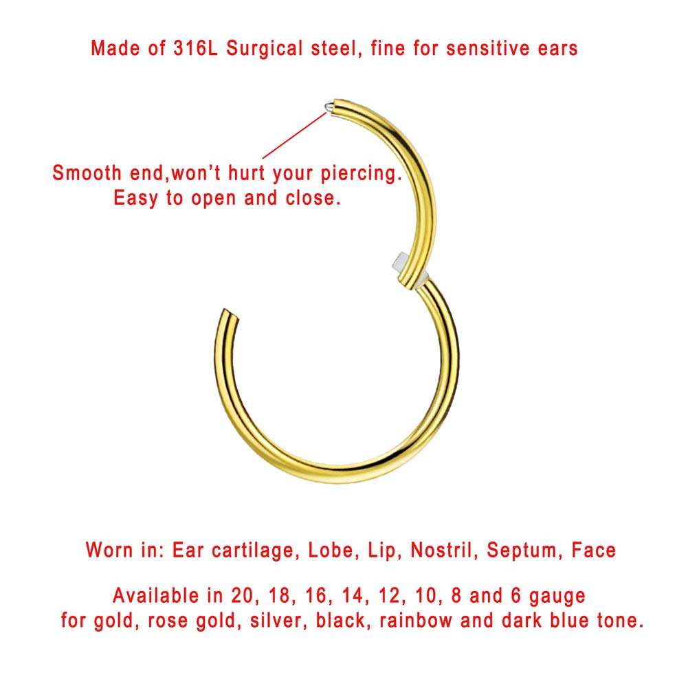 FANSING Men Women 316L Surgical Steel Hinged Nose Rings Hoop for Nostril Septum Cartilage Helix Daith Tragus Rook Conch Lip Ear Lobe Piercings - Image 2