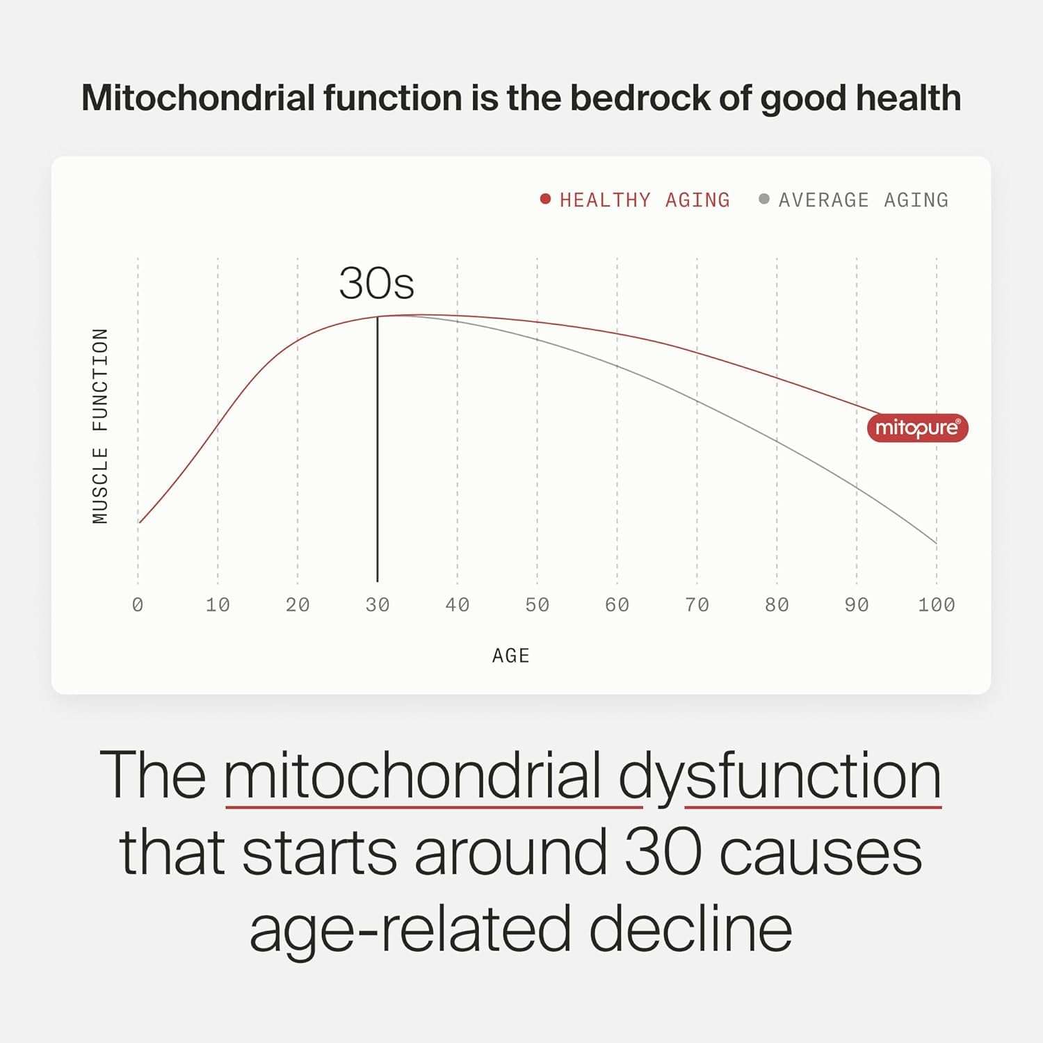 Timeline Mitopure Urolithin A Supplement Powder - Clinically Proven Support for Healthy Aging and Cellular Renewal - Mitoceutical for Muscle Support and Longevity - Image 5