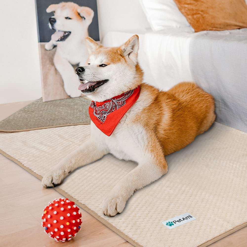 PetAmi Waterproof Dog Blanket, Leakproof XL Pet Blanket for Large Dogs, Furniture Sofa Couch Cover Protector, Fleece Cat Throw Bed Crate Kennel, Reversible Washable Soft Plush, Twin 60x80 Taupe Beige - Image 5