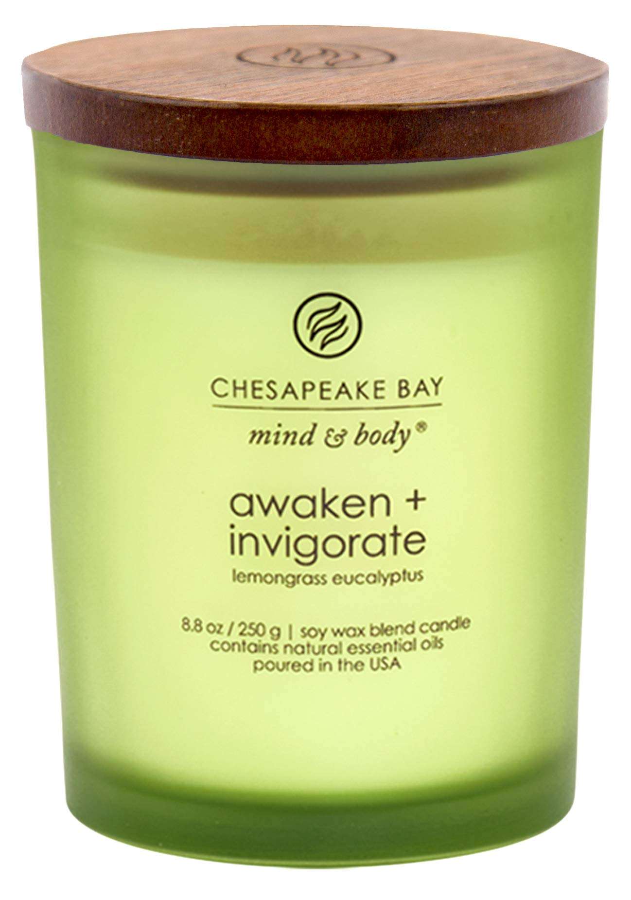 Chesapeake Bay Candle PT40886 Scented Candle, Awaken + Invigorate (Lemongrass Eucalyptus), Medium , Green, Home Décor - Image 1