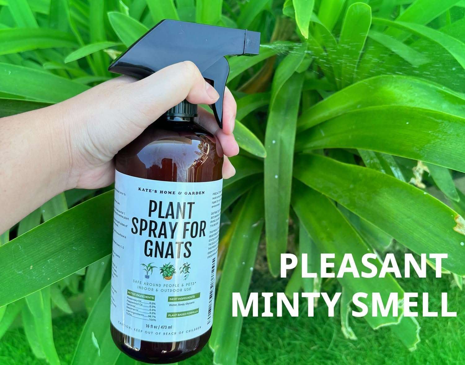 Kate's Garden Plant Spray for Insects & Getting Rid of Gnats. Fungus Gnat Killer & Bug Spray for Indoor Plants (16oz, Pet Safe, Non Toxic) - Image 4