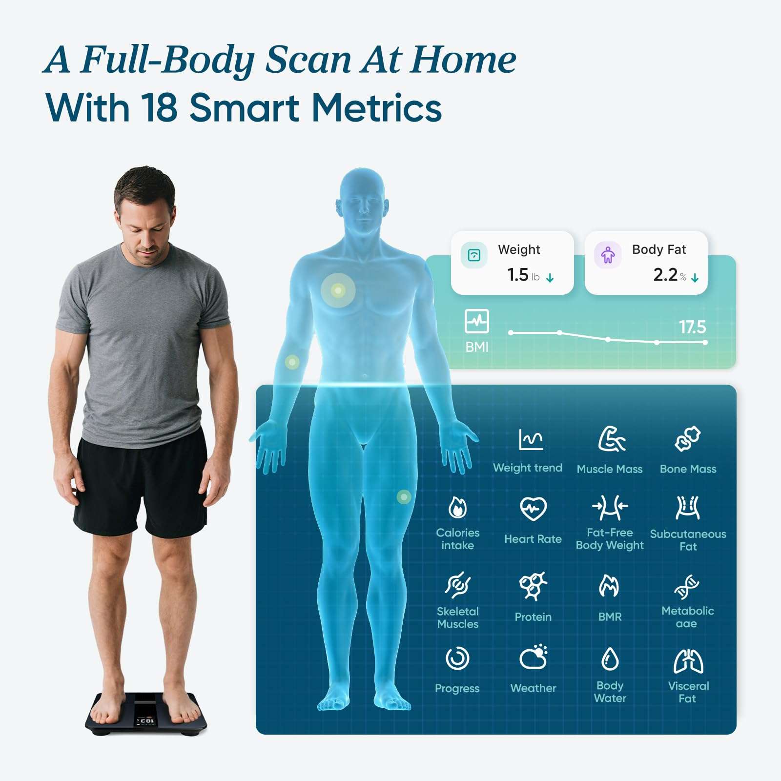 Etekcity Smart Scale for Body Weight Fat, Digital Bathroom Weighing Machine for Accurate BMI Muscle Mass Composition, Home Use Apple Health Compatible Fitness Equipment - Image 4