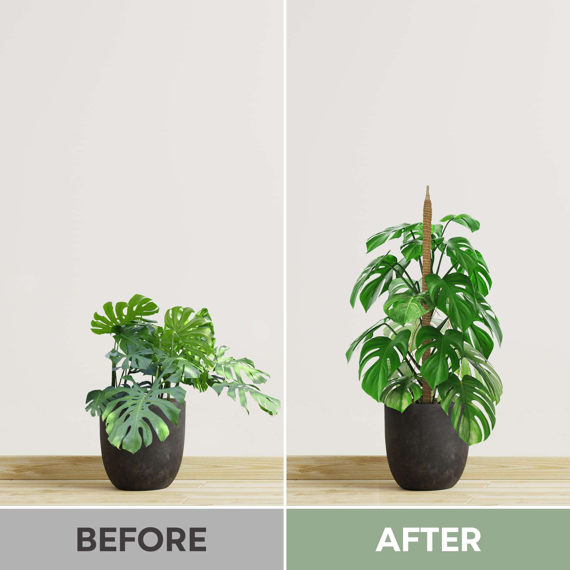 2 Pack 28'' Bendable Moss Pole Monstera Plant Support for Climbing Indoor Plants - Stakes for Potted Climbers - Tall Sticks Indoor Trellis for Houseplants - Accessories for Monstera Pot - Image 6