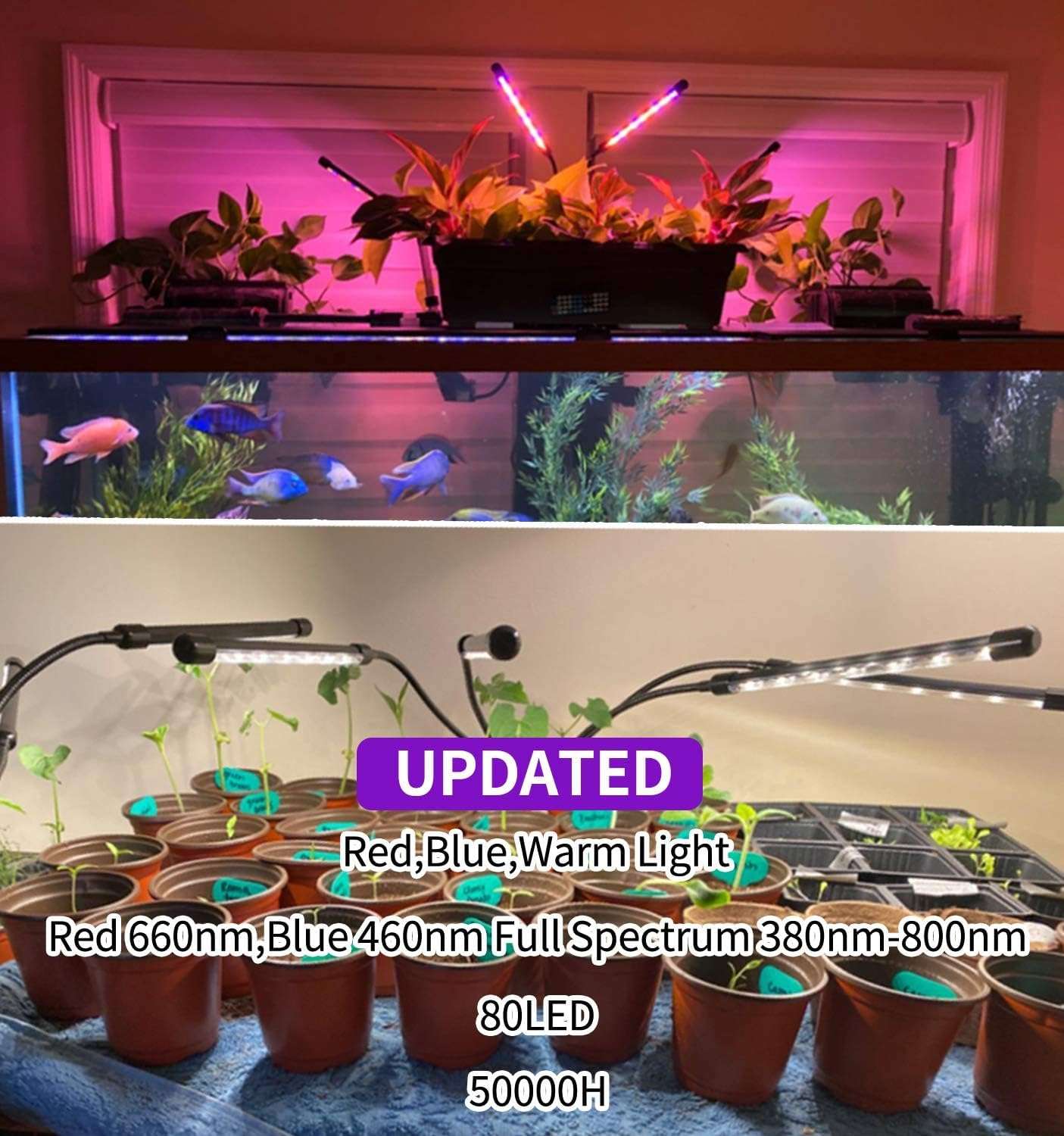 LEOTER Grow Light for Indoor Plants - Upgraded Version 80 LED Lamps with Full Spectrum & Red Blue Spectrum, 3/9/12H Timer, 10 Dimmable Level, Adjustable Gooseneck,3 Switch Modes - Image 5