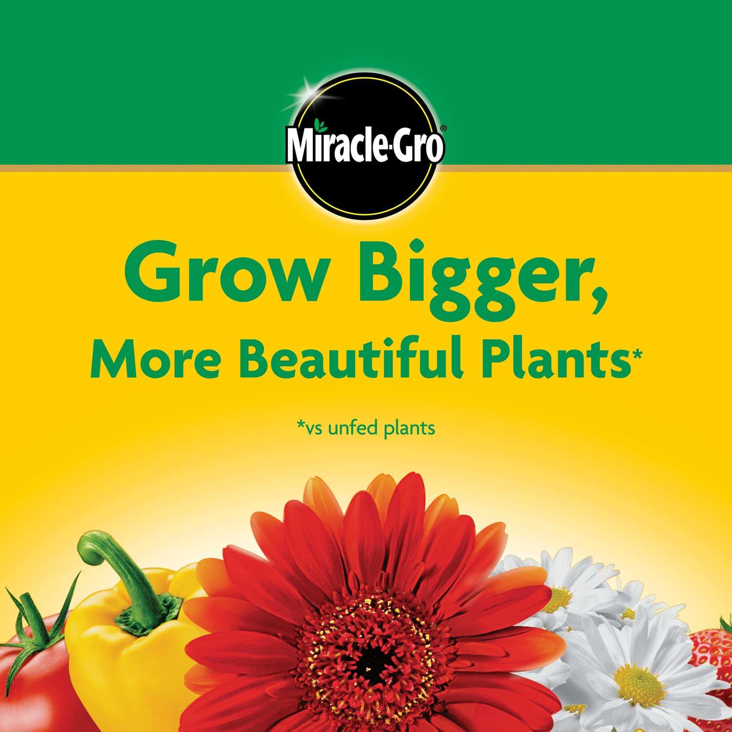 Miracle-Gro Water Soluble All Purpose Plant Food, Plant Fertilizer for Indoor or Outdoor Plants, Roses, Flowers, Houseplants, Vegetables and Trees, 10 lb. - Image 8