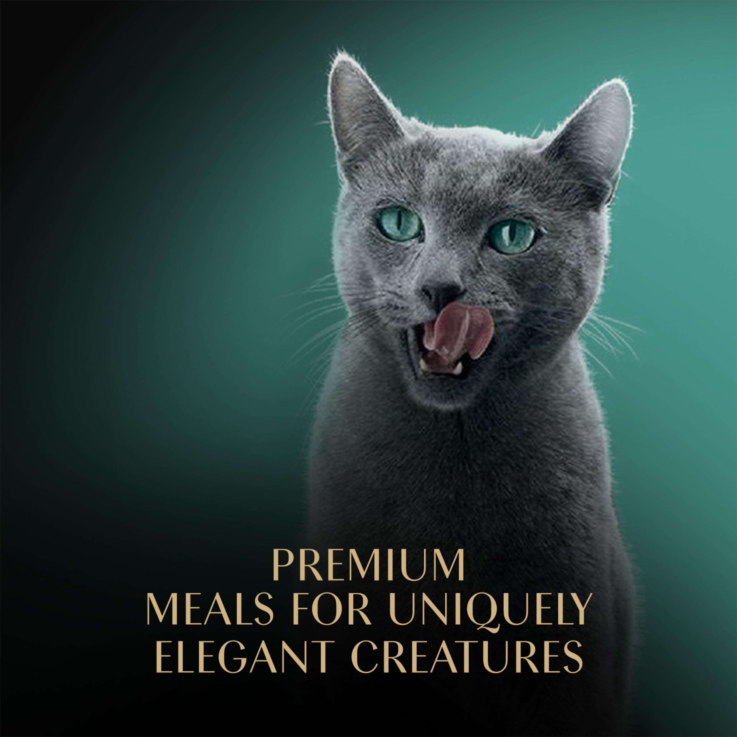 Sheba Perfect Portions Wet Cat Food Cuts in Gravy Variety Pack, Roasted Chicken Entree, with Sustainable Salmon, and Tender Turkey Entree, 2.6 oz. Twin-Pack Trays (24 Count, 48 Servings) - Image 11