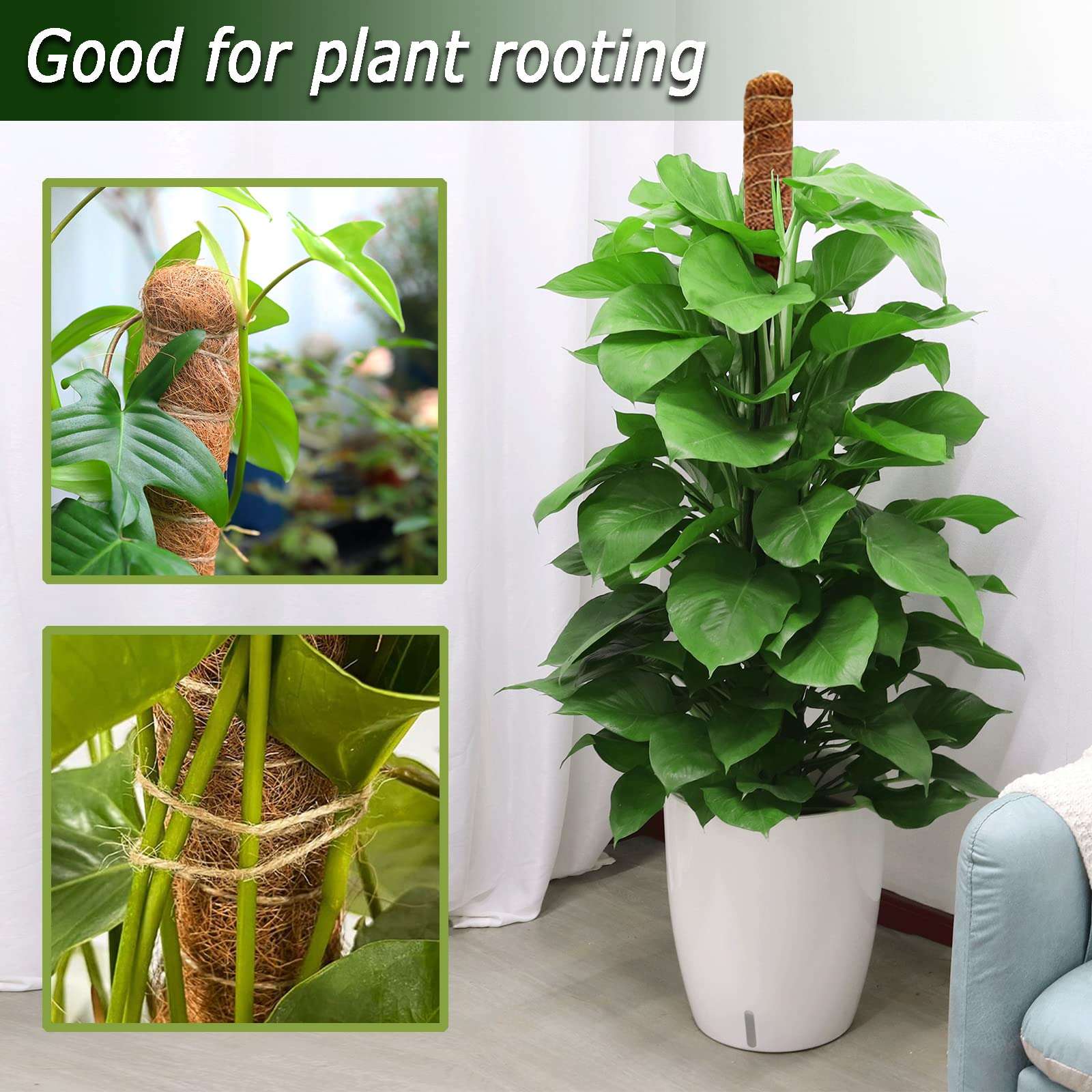 2 Pack Moss Pole, 28 Inch Bendable Moss Pole for Plants Monstera, Moss Poles for Climbing Plants Indoor, Coir Plant Pole Sticks Support Stakes for Potted Plant, Pothos, Philodendron - Image 4