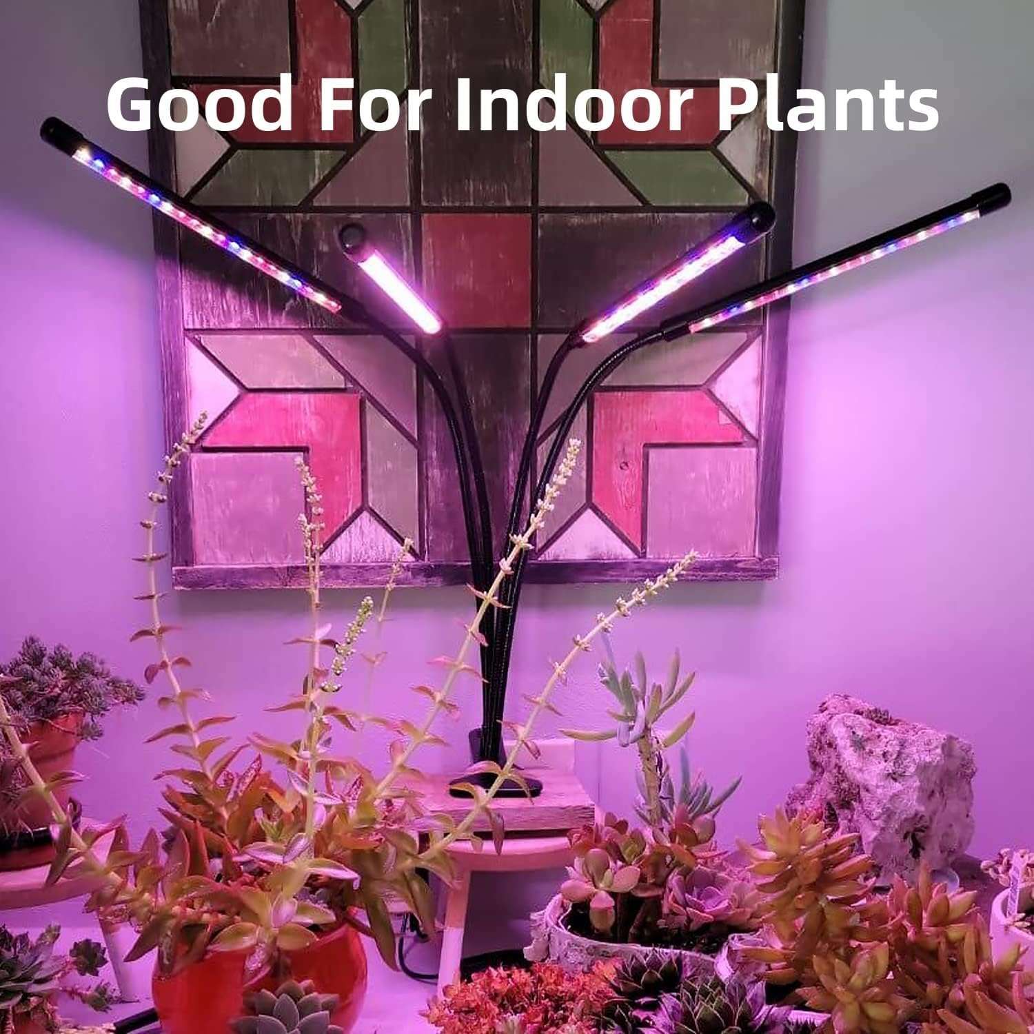 LEOTER Grow Light for Indoor Plants - Upgraded Version 80 LED Lamps with Full Spectrum & Red Blue Spectrum, 3/9/12H Timer, 10 Dimmable Level, Adjustable Gooseneck,3 Switch Modes - Image 4