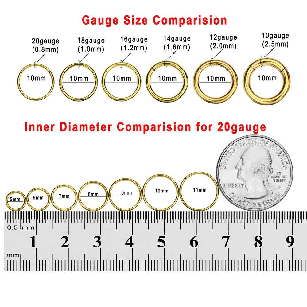 FANSING Men Women 316L Surgical Steel Hinged Nose Rings Hoop for Nostril Septum Cartilage Helix Daith Tragus Rook Conch Lip Ear Lobe Piercings - Image 3