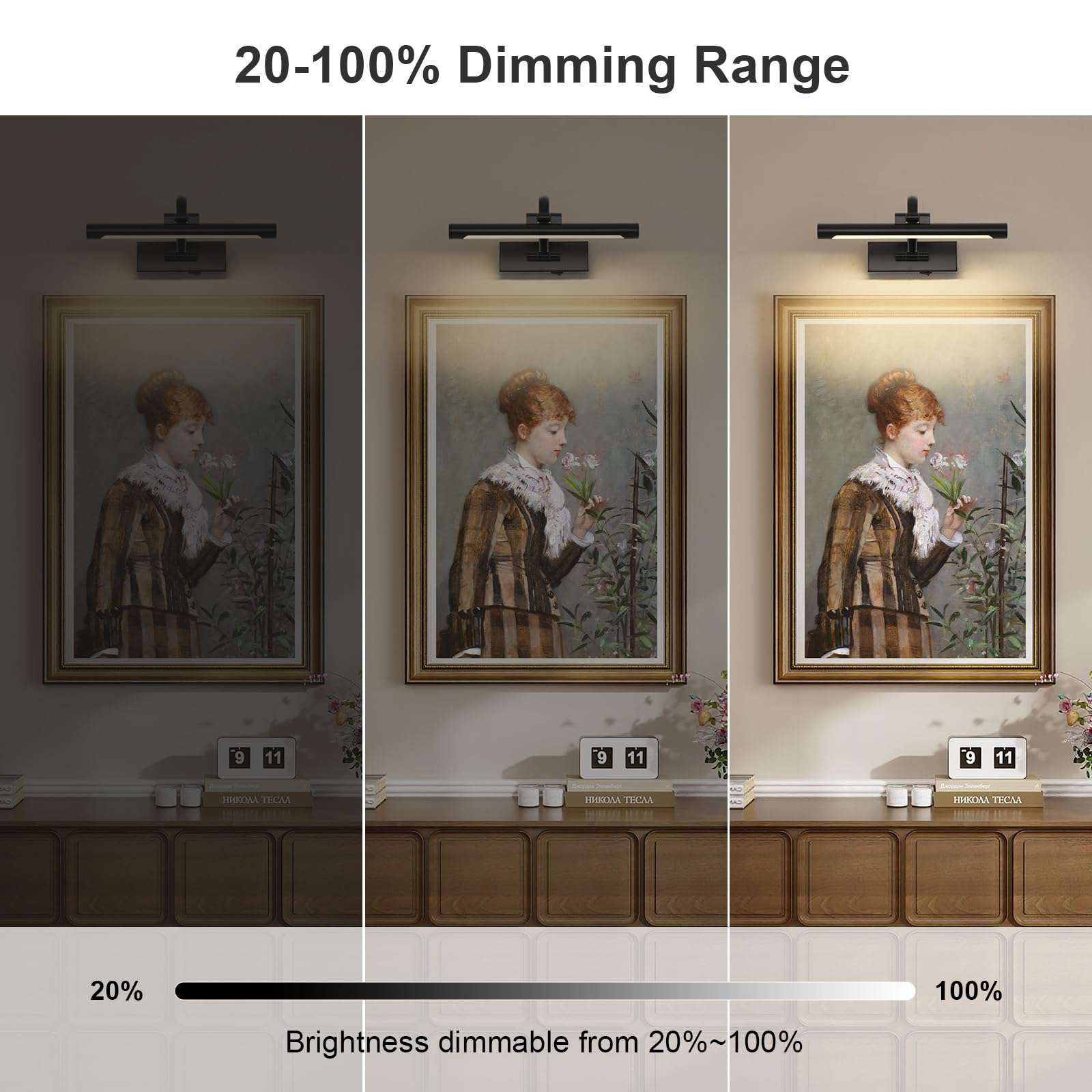 DESOOP Battery Operated Picture Lights for Wall Black Art Light Wireless Gallery Lights with Timer and Remote 12 Inch 2W Warm White - Image 2
