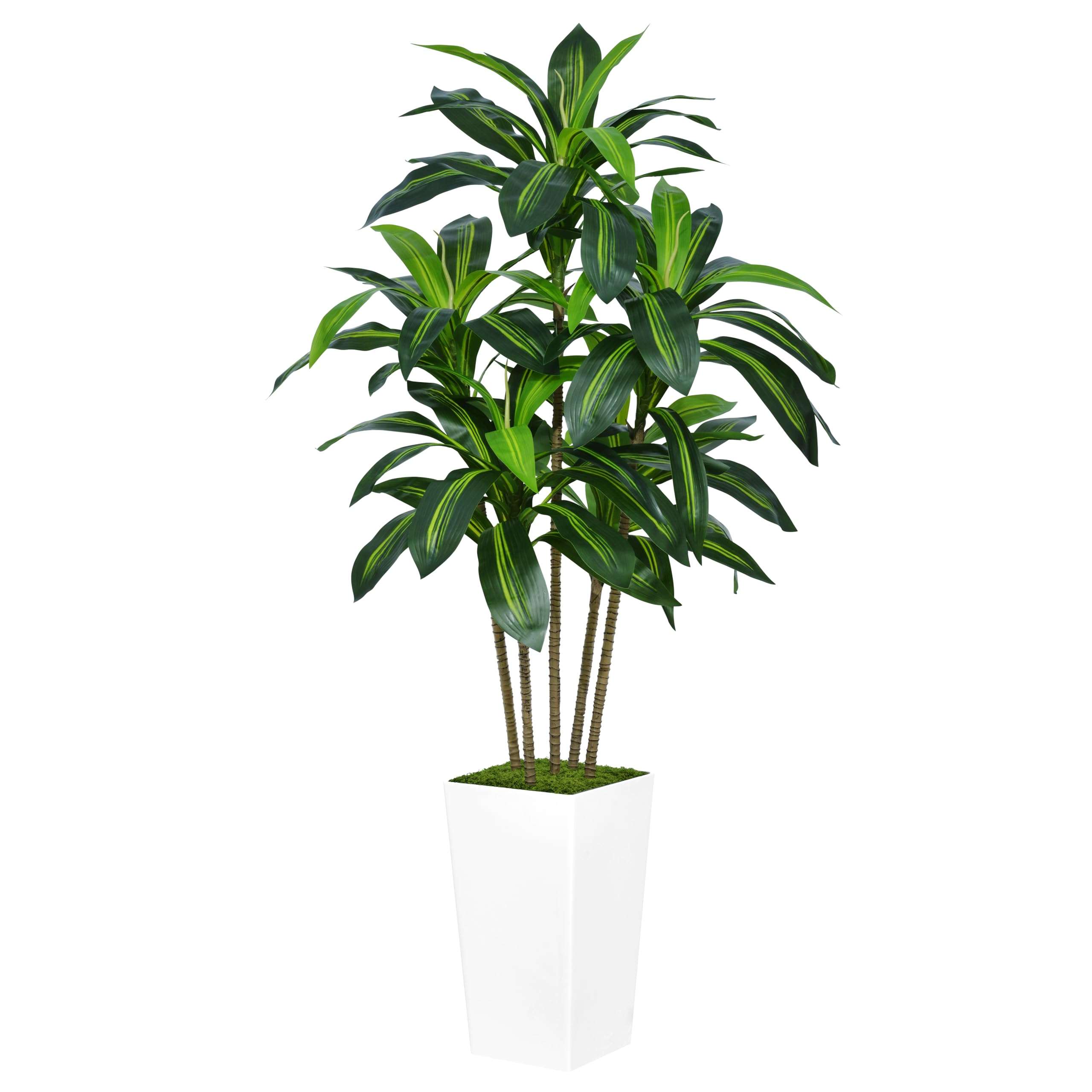 ASTIDY Artificial Dracaena Tree 5FT - Faux Tree with White Tall Planter - Fake Tropical Yucca Floor Plant in Pot - Artificial Silk Tree for Home Office Living Room Decor Indoor - Image 1