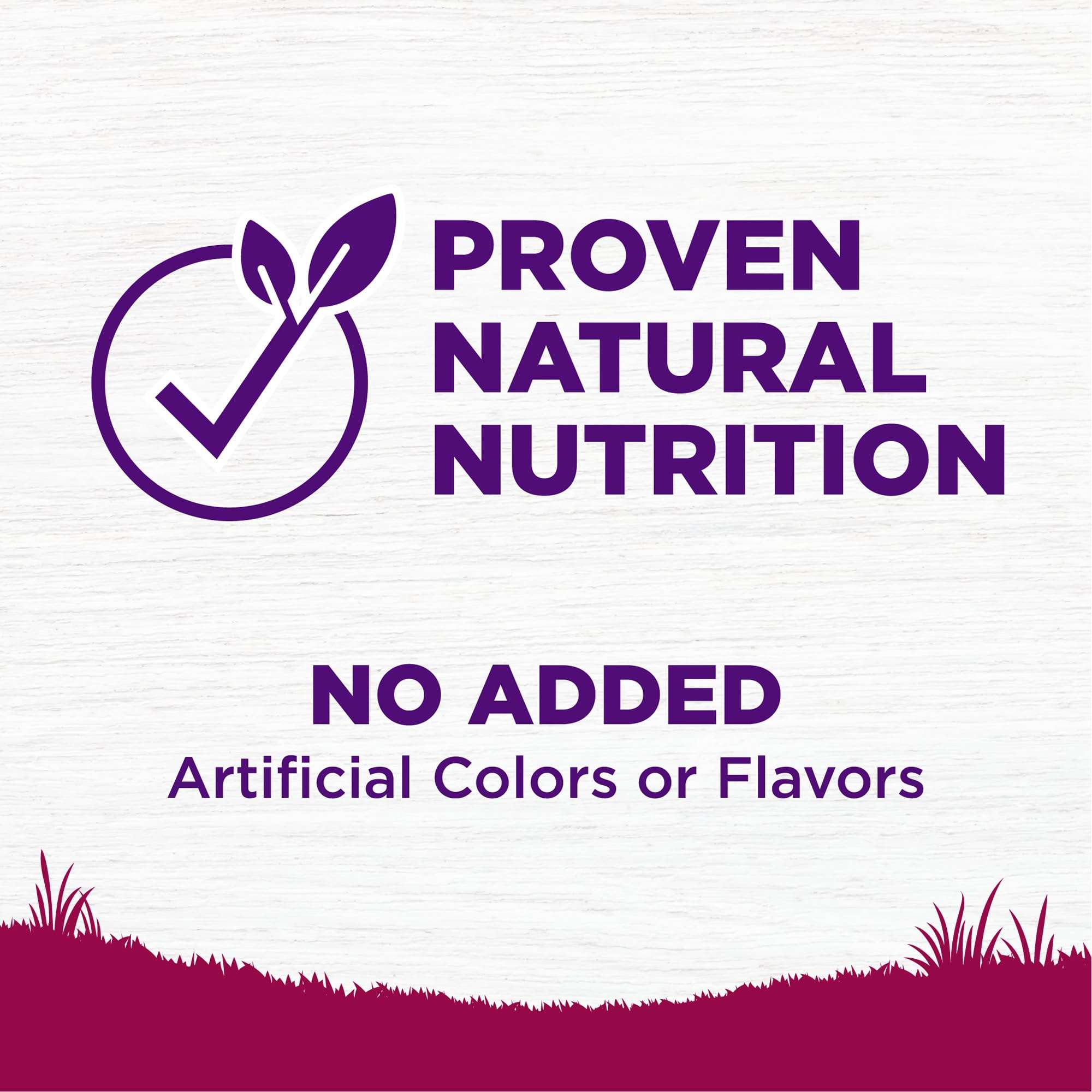 Wellness Complete Health Small Breed Dry Dog Food with Grains, Natural Ingredients, Made in USA with Real Turkey, For Dogs Up to 25 lbs, (Adult, Turkey & Oatmeal, 4-Pound Bag) - Image 5