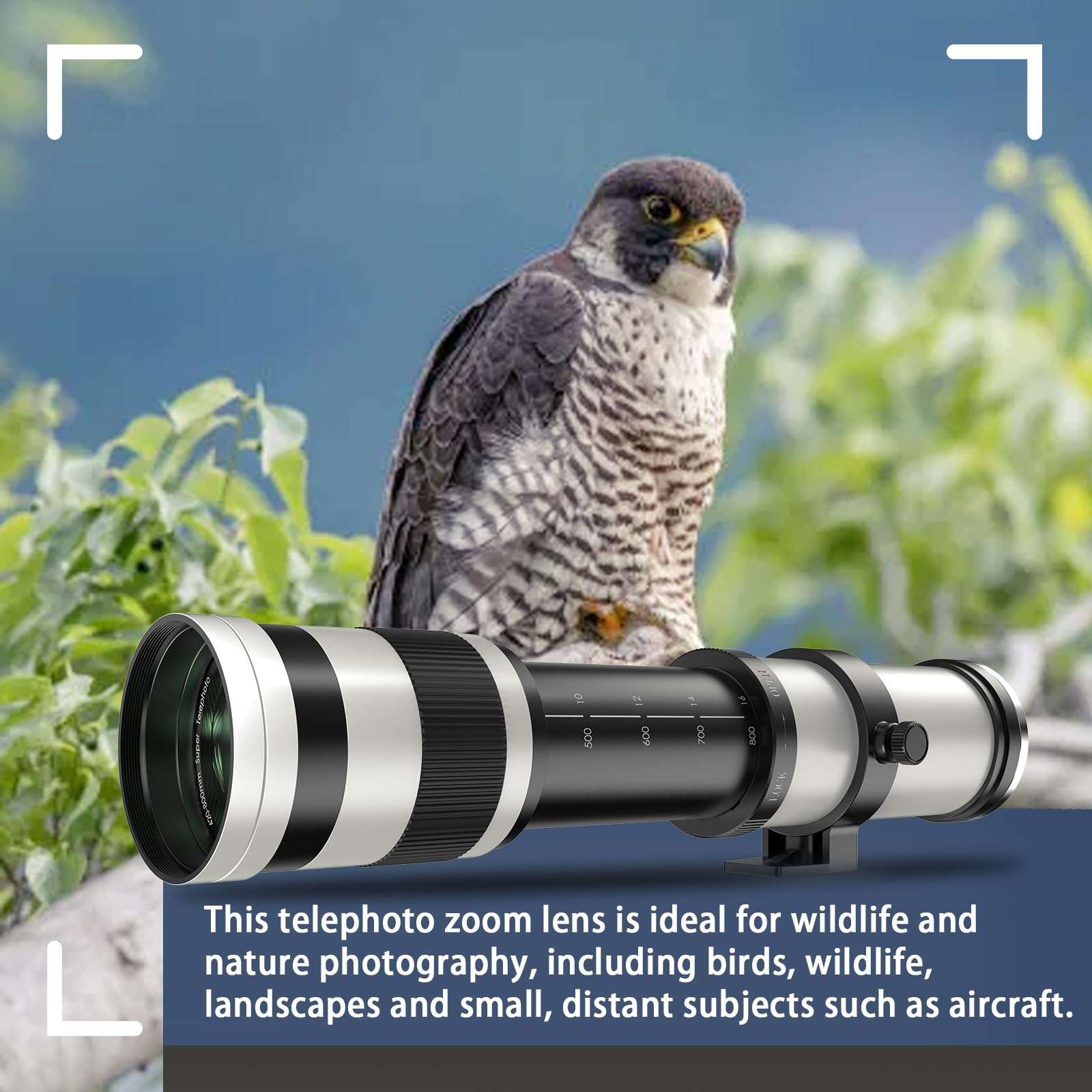 Lightdow RF 420-800mm F8.3 Telephoto Zoom Lens - MF for Canon EOS R6 Mark II/R5 Mark II/R5/R3/R7/R8/R10/RP/R6/R50/R1/R5 C/R50 V/R100/R/Ra - Manual Focus Mirrorless Cameras Lens(RF Mount,White) - Image 5