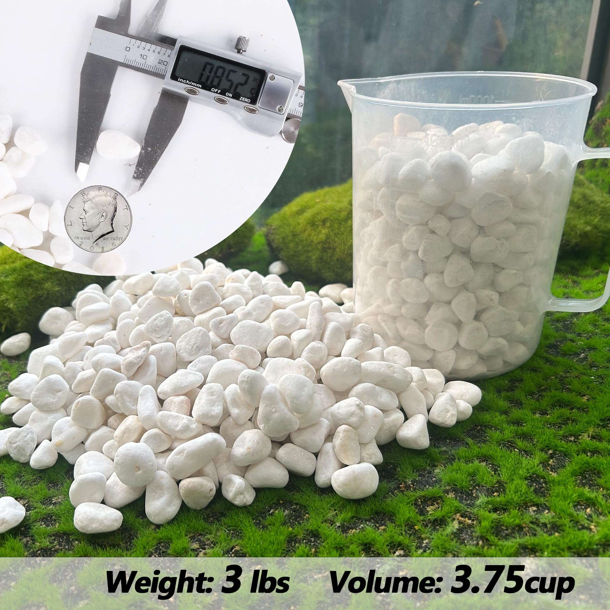 CJGQ White Pebbles for Plants Garden Vases 3 lb White Rocks Gravel Decorative Stone 1/2" - Image 2