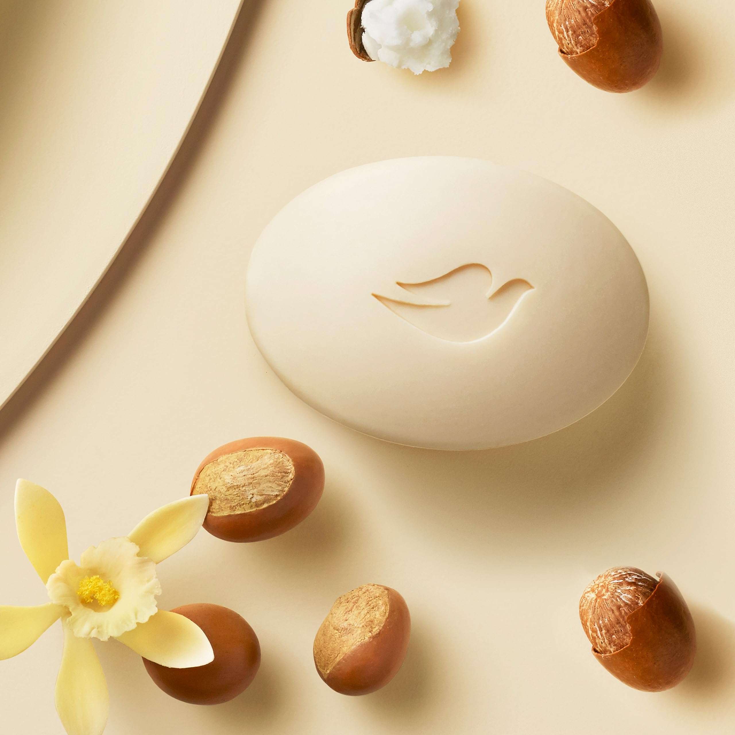 Dove Beauty Bar Soap Shea Butter, 8 Count - Image 10