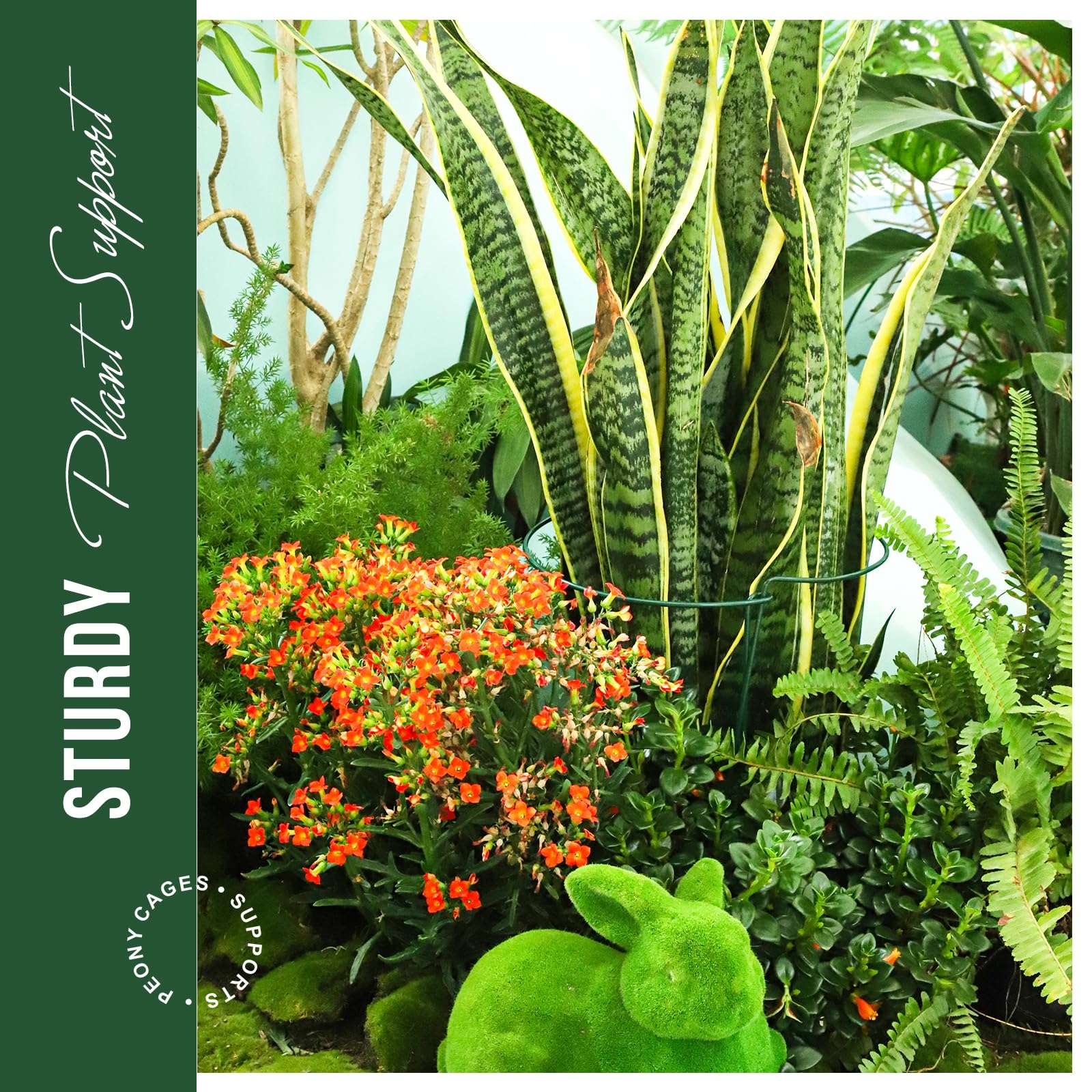 LEOBRO Plant Support Stakes, 4 PCS Plant Stakes, Plant Support, Peony Cages and Supports, Garden Stakes, Plant Stakes for Indoor Outdoor Plants, Hydrangea Support Cage, 10" W x 15.8" H - Image 5