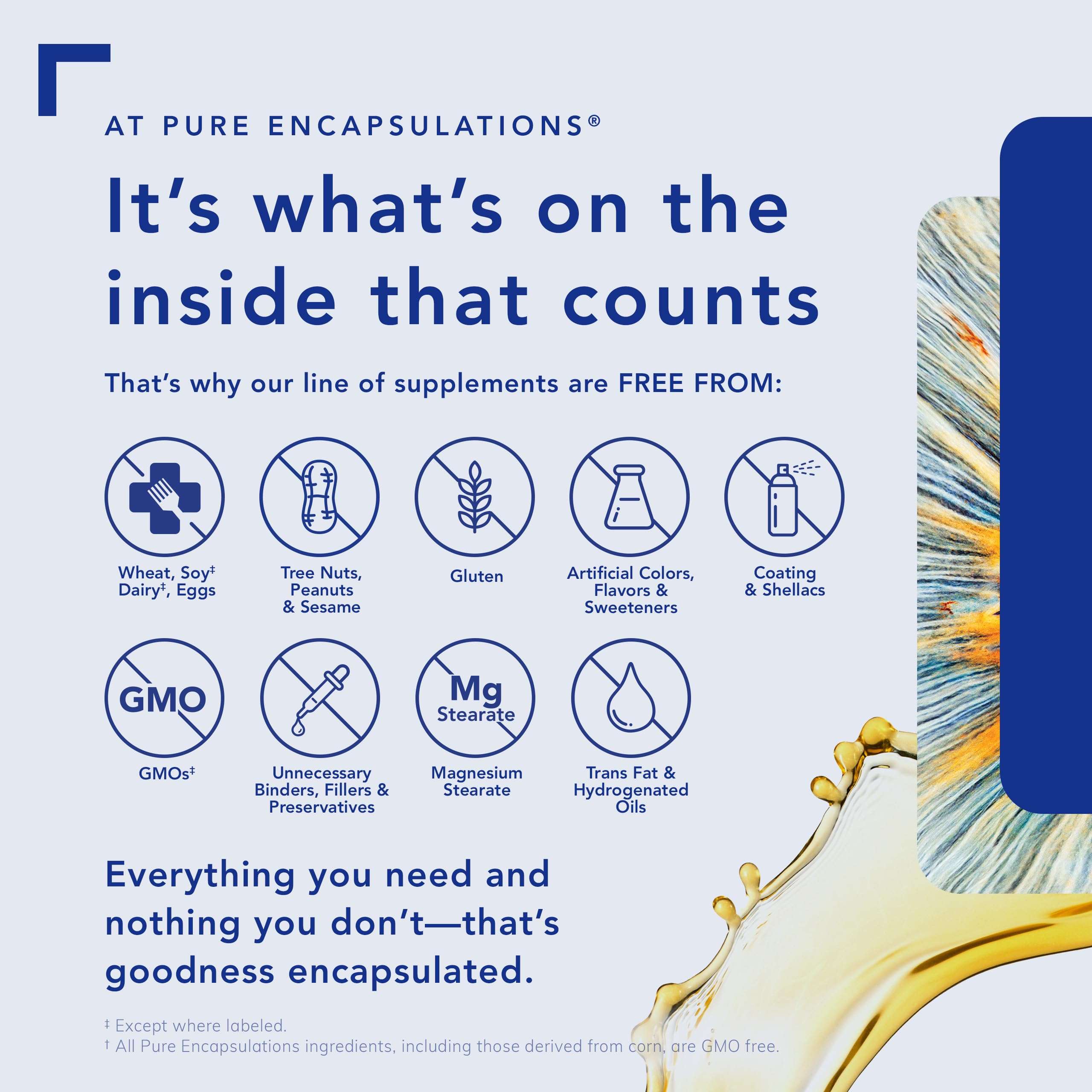 Pure Encapsulations B-Complex Plus - B Vitamins Supplement to Support Neurological Health, Cardiovascular Health, Energy Levels & Nervous System Support* - with Vitamin B12 & More - 120 Capsules - Image 5