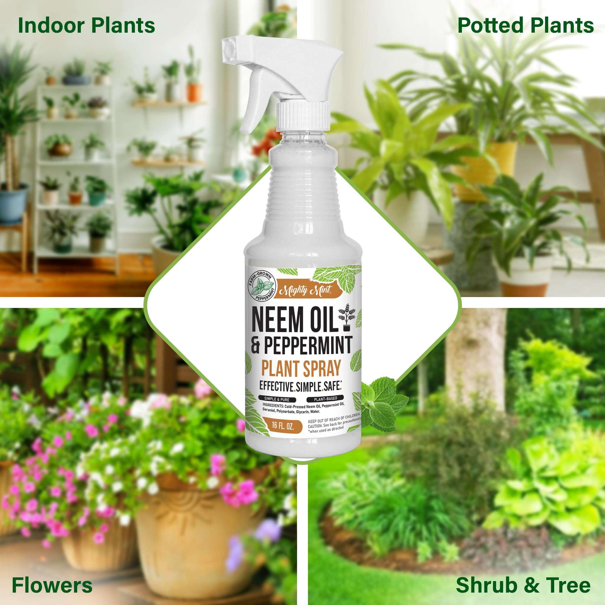 Mighty Mint Neem Oil & Peppermint Plant Nutrient Spray – Natural Leaf Shine for Indoor & Outdoor Use – Plant-Based Formula for Stronger, Healthy Plants - 16 oz (Pack of 2) - Image 6