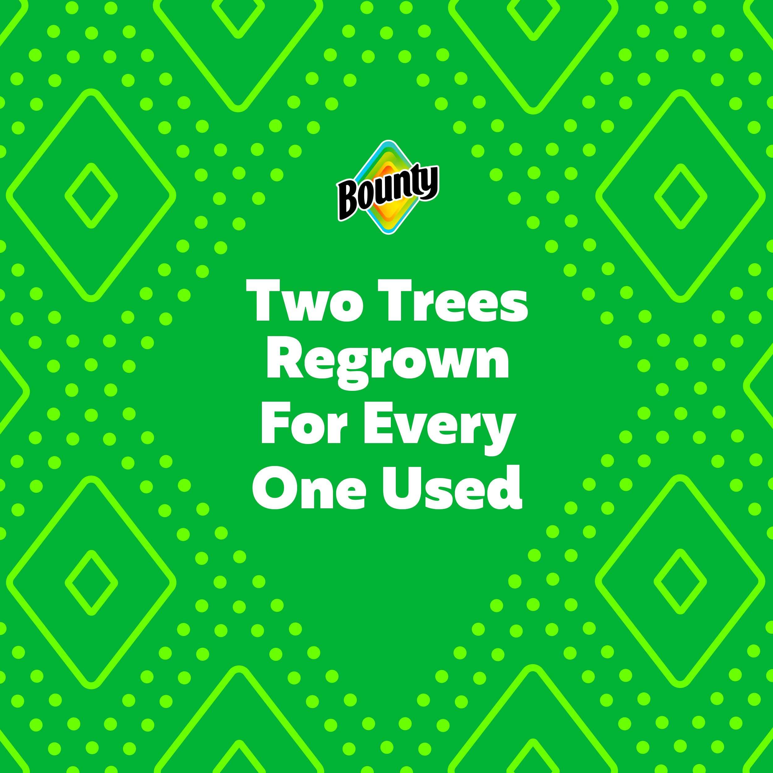 Bounty Select-A-Size Paper Towels, White, 2 Triple Rolls = 6 Regular Rolls - Image 11