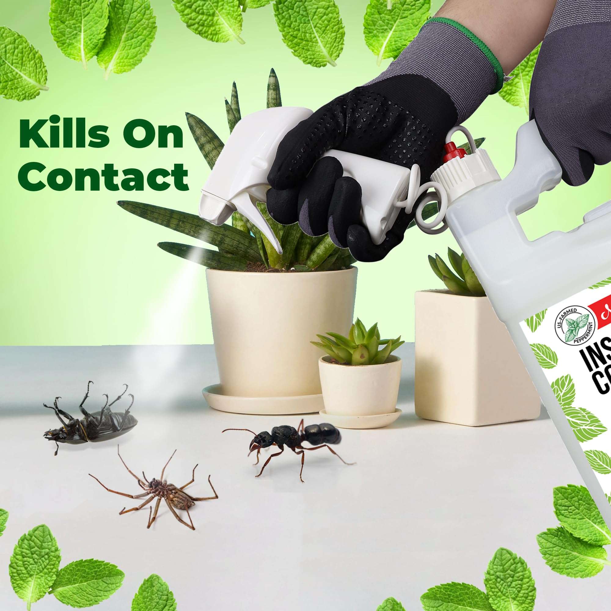 Mighty Mint Insect and Pest Control Plus – Natural Mint Oil Insect Killer Spray, 1 Gallon - Image 3