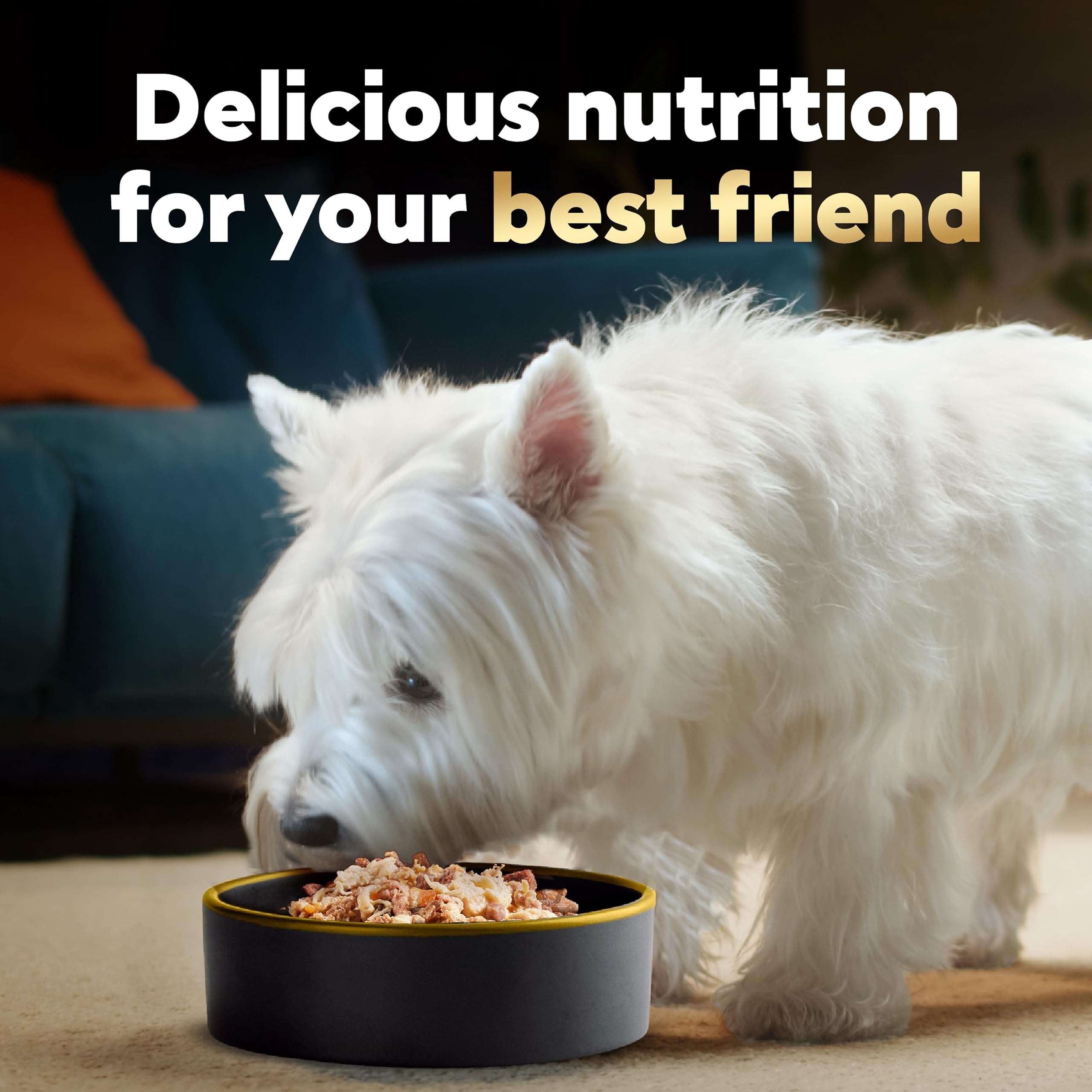 Cesar Wholesome Bowls Adult Wet Dog Food, Beef, Chicken, Purple Potatoes & Carrots, 3 oz. (10 Count, Pack of 1) - Image 8