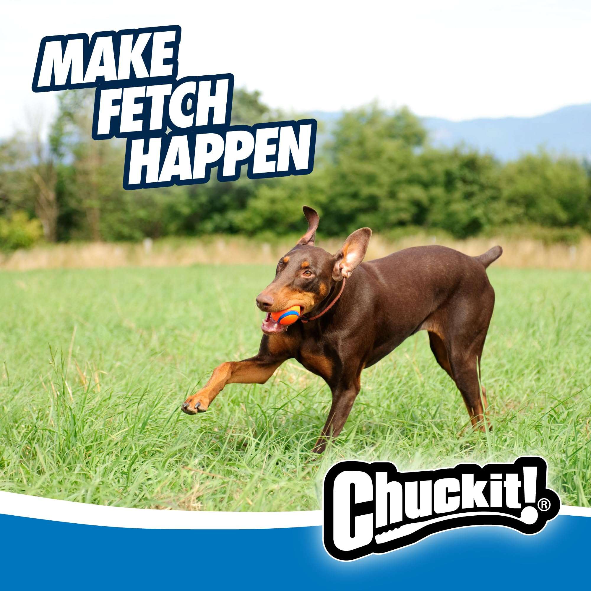 Chuckit! Ultra Ball Dog Toy - Size Large - For Dogs 60-100 lbs - Made from Durable Rubber - Super Bouncy - Floats in Water - 3-inch Diameter - Pack of 1 - Image 6