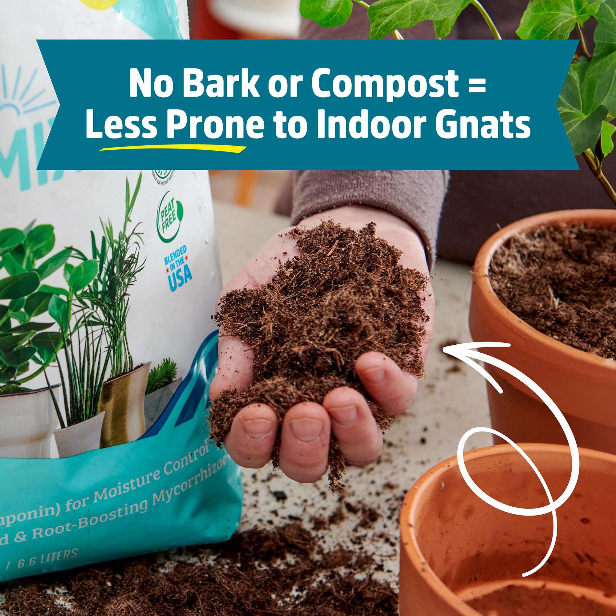 Back to the Roots 100% Organic Indoor Potting Mix (6 Quart), Promotes Healthy Houseplant Growth, Made in The USA - Image 7