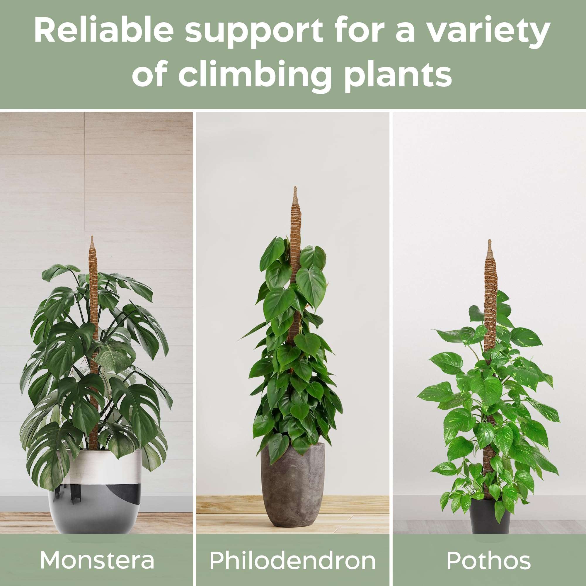 2 Pack 28'' Bendable Moss Pole Monstera Plant Support for Climbing Indoor Plants - Stakes for Potted Climbers - Tall Sticks Indoor Trellis for Houseplants - Accessories for Monstera Pot - Image 4