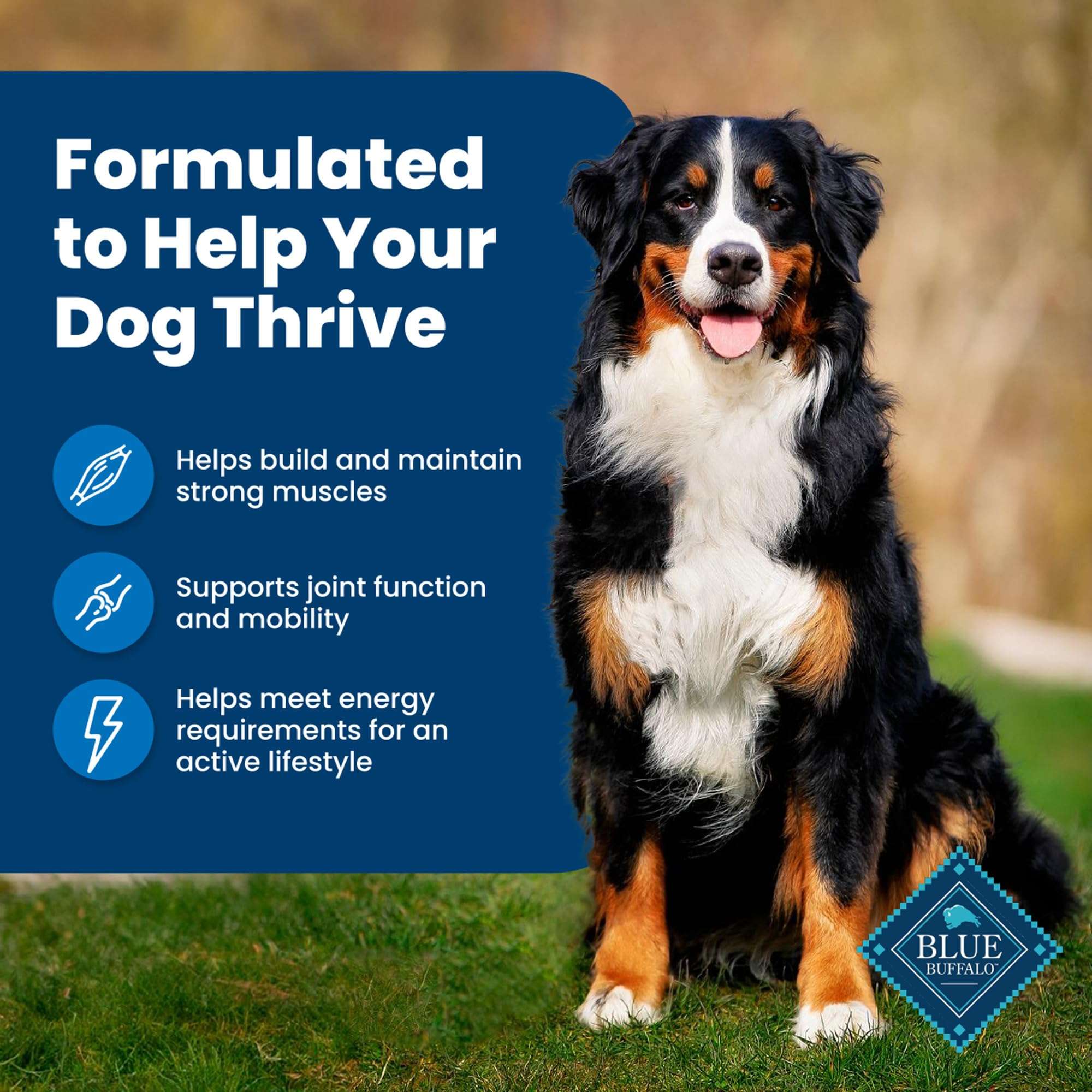 Blue Buffalo Life Protection Formula Natural Adult Dry Dog Food, Chicken and Brown Rice 5-lb Trial Size Bag - Image 5