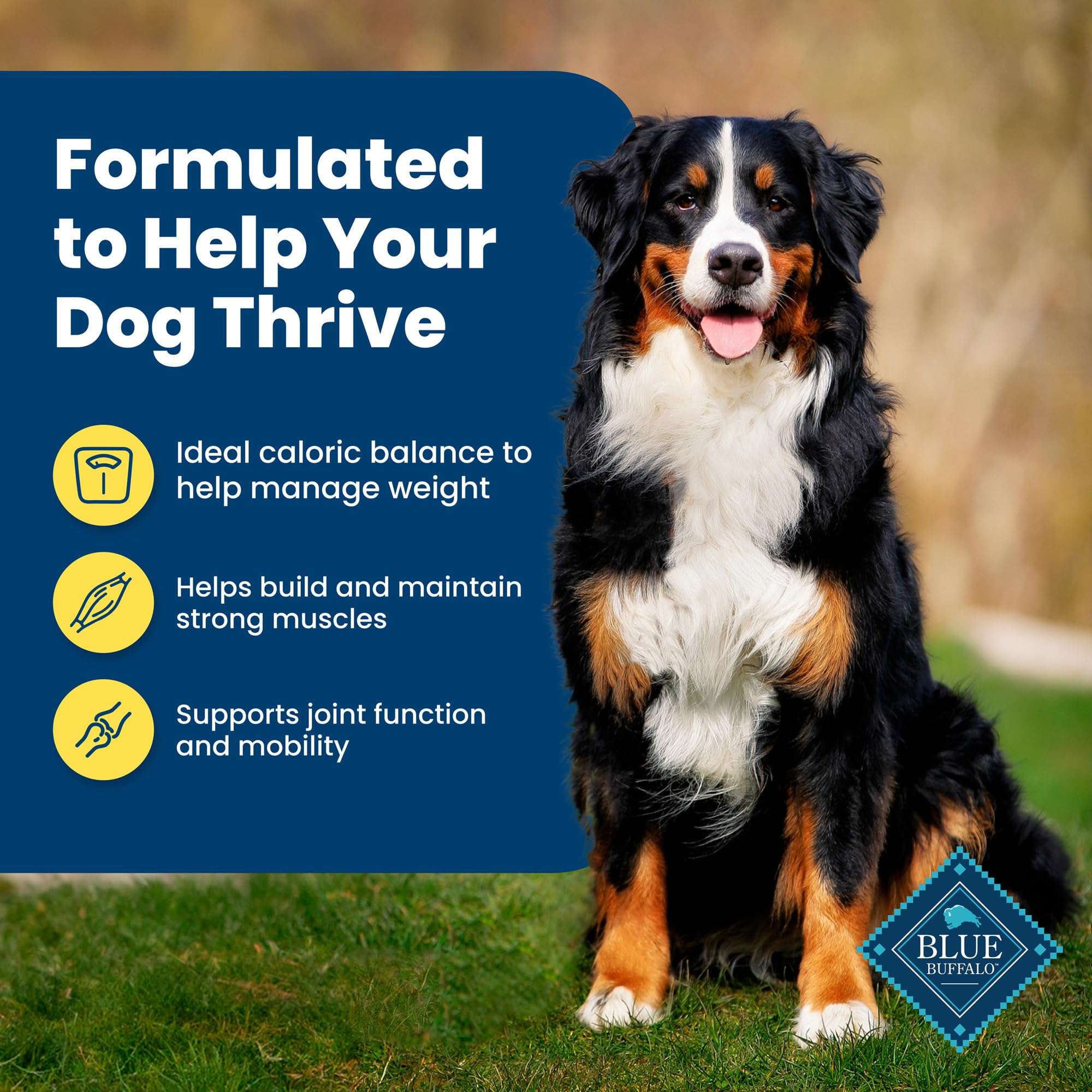 Blue Buffalo Life Protection Formula Healthy Weight Adult Dry Dog Food, Supports an Ideal Weight, Made with Natural Ingredients, Chicken & Brown Rice Recipe, 30-lb Bag - Image 5