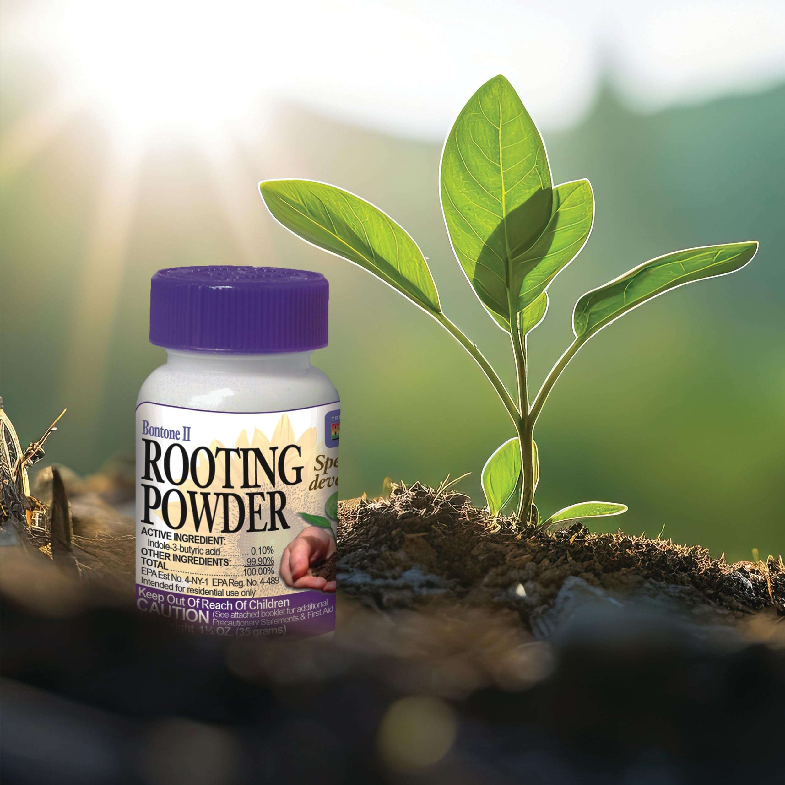 Bonide Bontone II Rooting Powder, 1.25 oz Ready-to-Use Dust for Houseplants and Transplants Speeds Root Development - Image 7