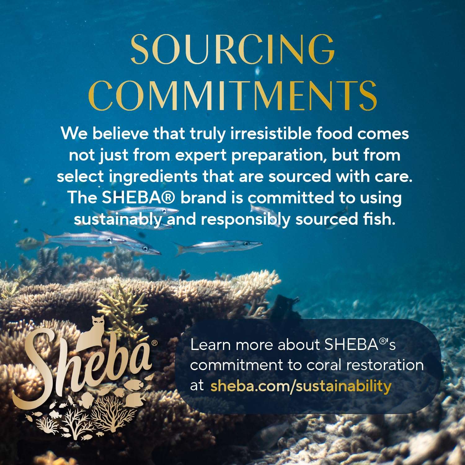 Sheba Perfect Portions Wet Cat Food Cuts in Gravy Variety Pack, Roasted Chicken Entree, with Sustainable Salmon, and Tender Turkey Entree, 2.6 oz. Twin-Pack Trays (24 Count, 48 Servings) - Image 12