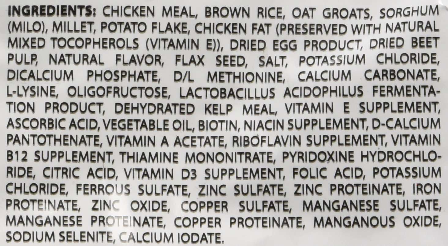 Dave's Natural Pet Food | Restricted Diet Chicken Meal & Brown Rice Dry Dog Food | Solve Food Sensitivities Naturally | Family Owned, Made in USA, for All Life Stages | 4# Bag - Image 9