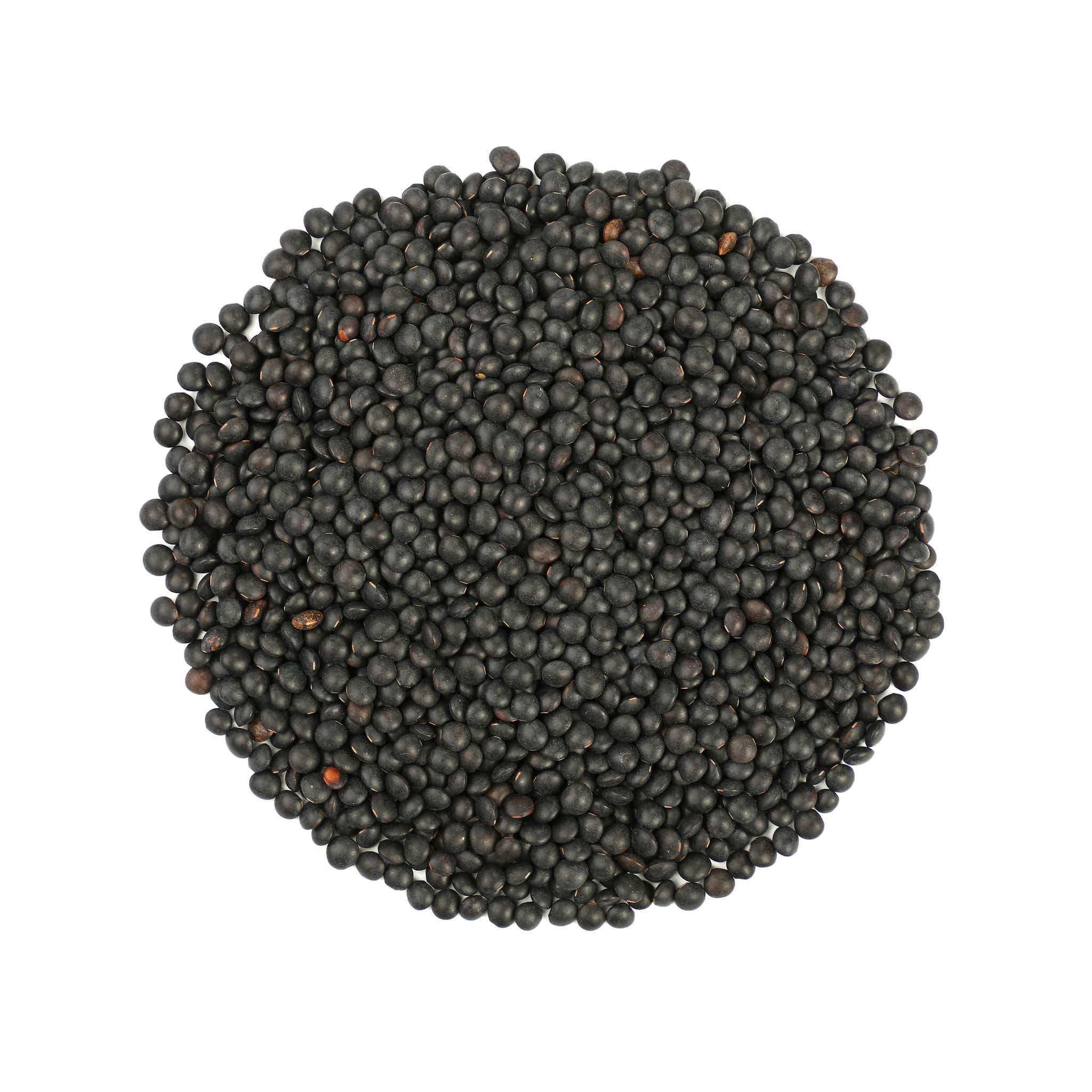 Food to Live Organic Black Lentils, 10 Pounds – Non-GMO, Whole Dry Pulses, Raw, Sproutable, Kosher, Vegan, Bulk Legumes, Black Masoor Daal. Rich in Thiamin, Folate, Protein. Great for Tacos, Soups - Image 4