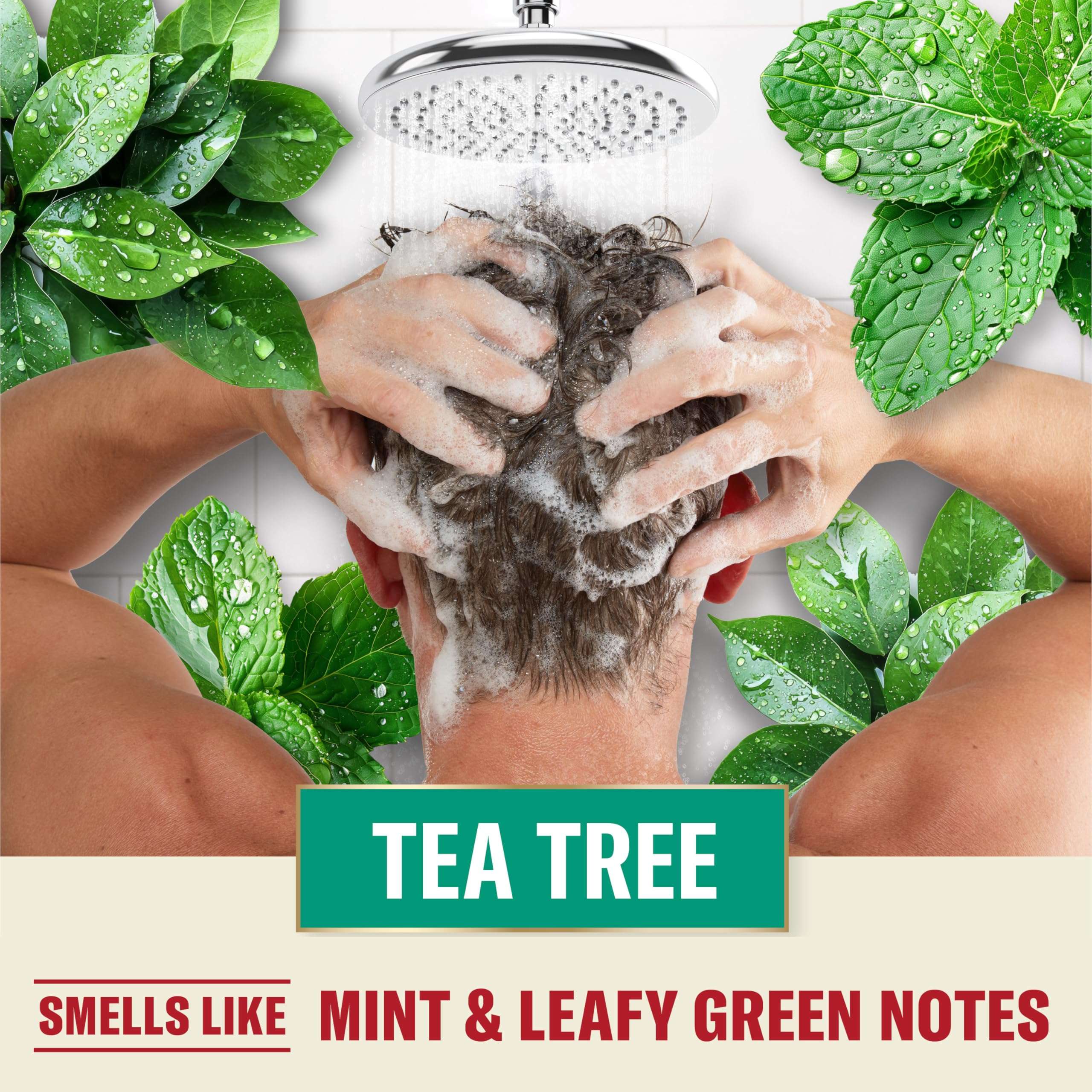 Old Spice Tea Tree Shampoo for Men, Healthier, Fuller, More Moisturized Looking Hair, 21.9 Fl Oz Each, Twin Pack - Image 6
