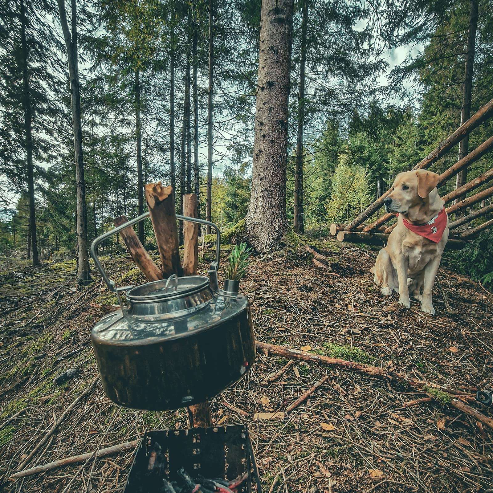 Fire-Maple Antarcti Portable 1 Liter Lightweight Stainless Steel Camping Kettle | Durable and Portable Camp Tea Pot | Ideal for Bushcraft and Outdoor Campfire Use - Image 2