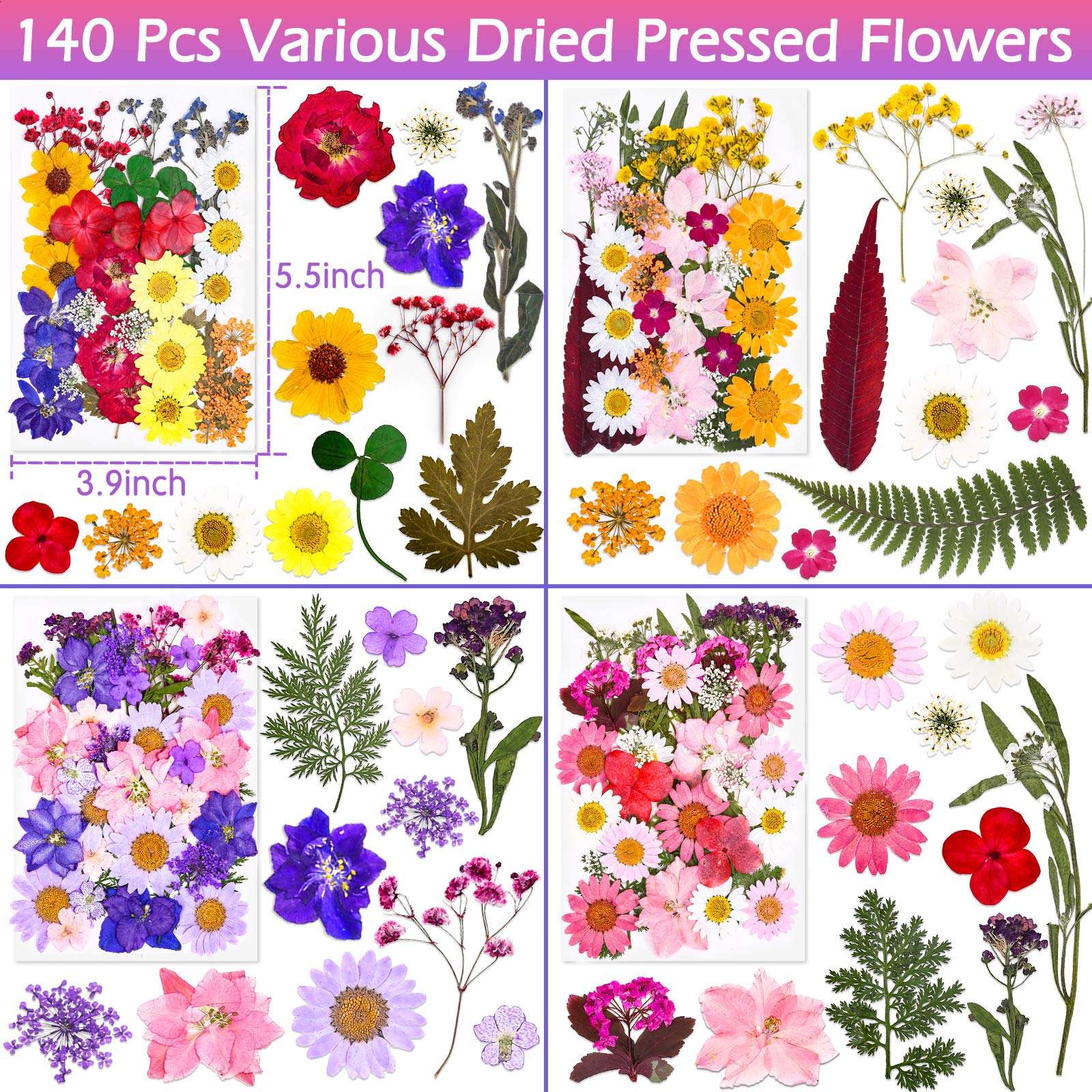 140 Pcs Dried Pressed Flowers for Resin, Real Pressed Flowers Dry Leaves Bulk Natural Herbs Kit for Scrapbooking DIY Art Crafts, Epoxy Resin Jewelry Molds, Candle, Soap Making, Nails Décor - Image 4