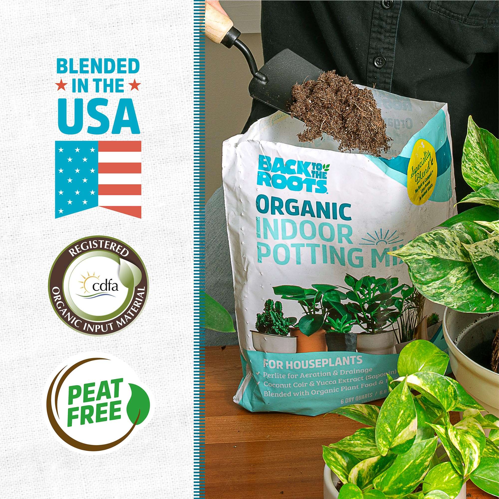 Back to the Roots 100% Organic Indoor Potting Mix (6 Quart), Promotes Healthy Houseplant Growth, Made in The USA - Image 3